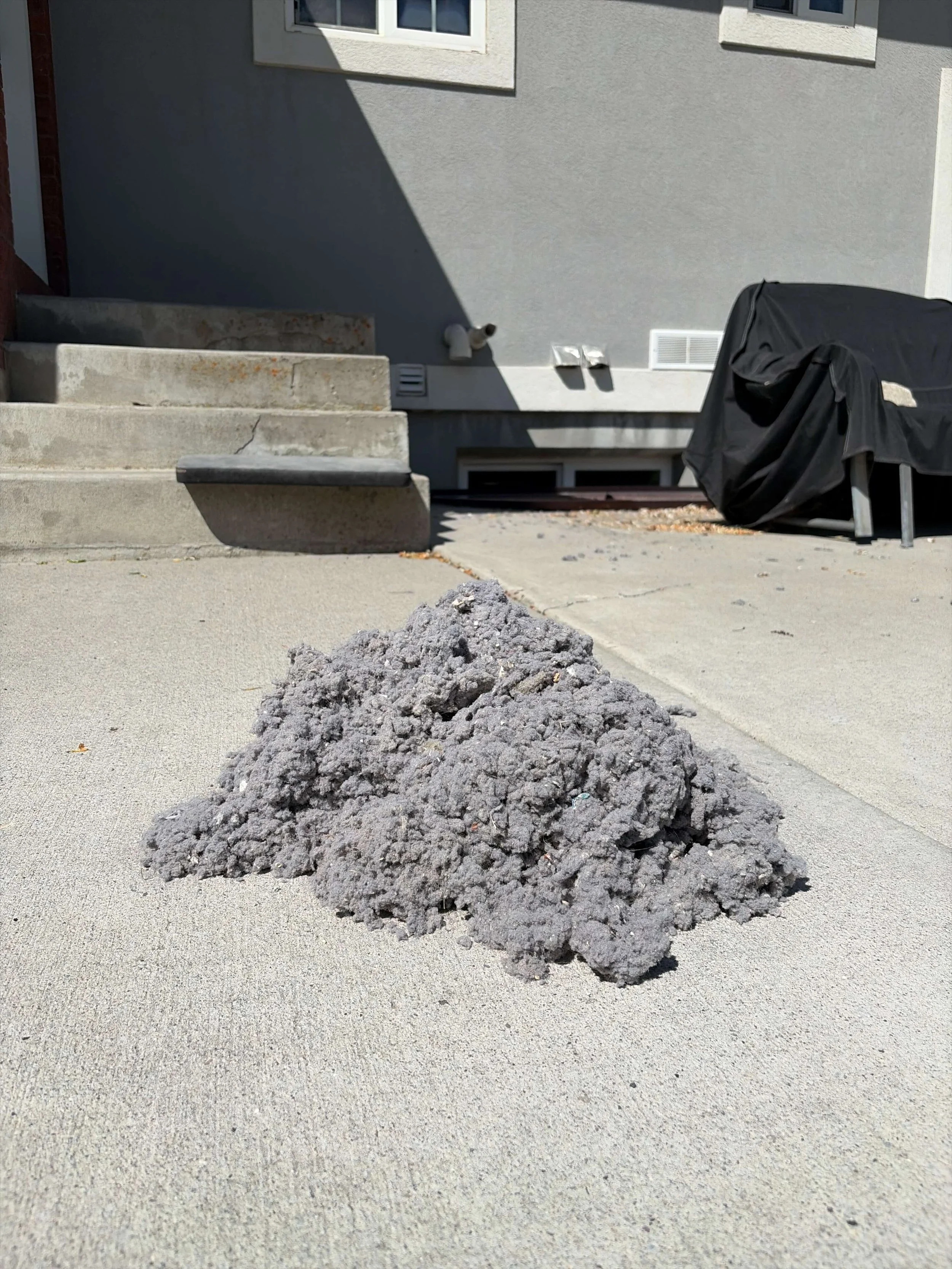 Massive Lint Build-up Removed