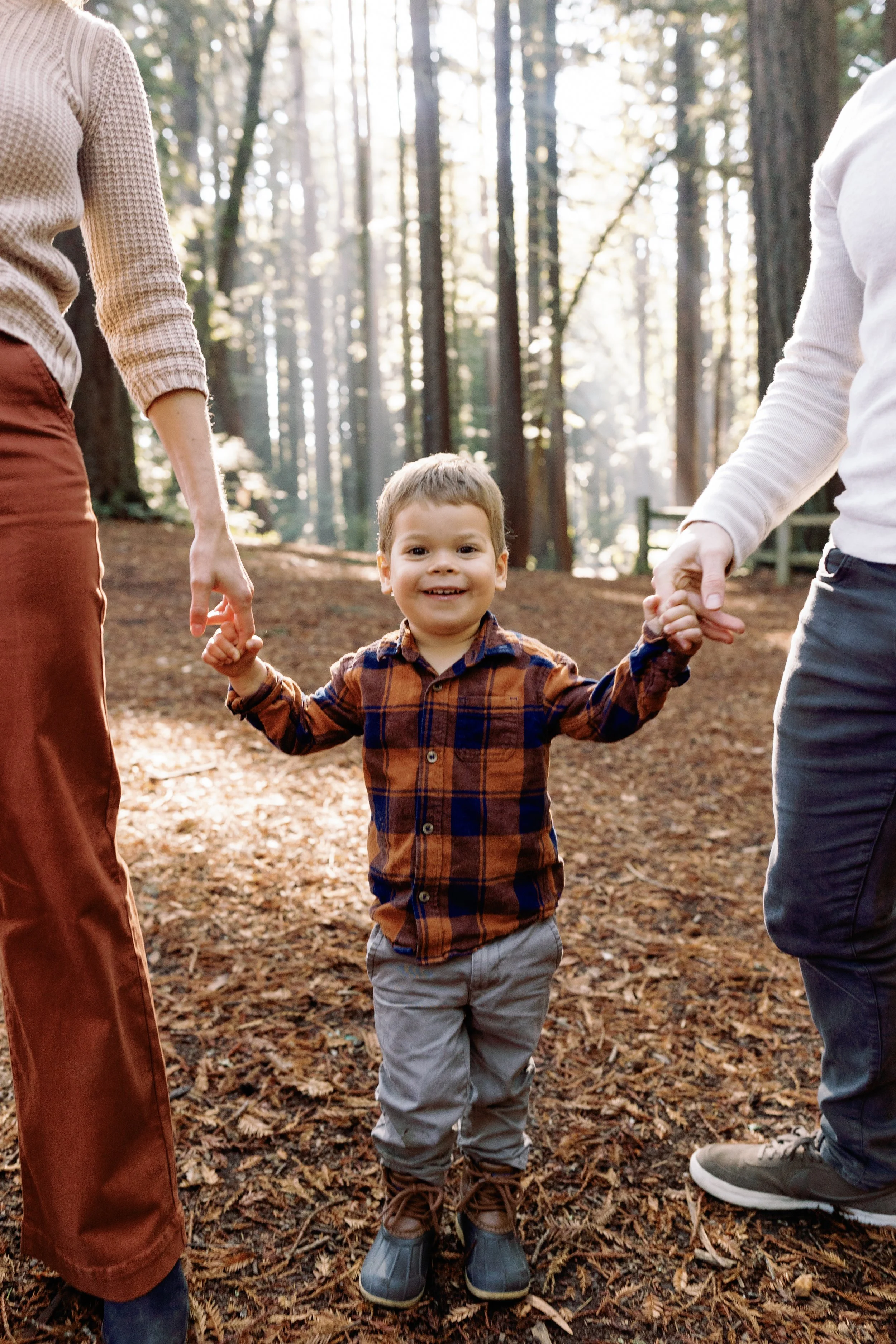 A young boy holding hands with two adults, walking through a forested area with fallen leaves, tall trees, and sunlight filtering through the branches.