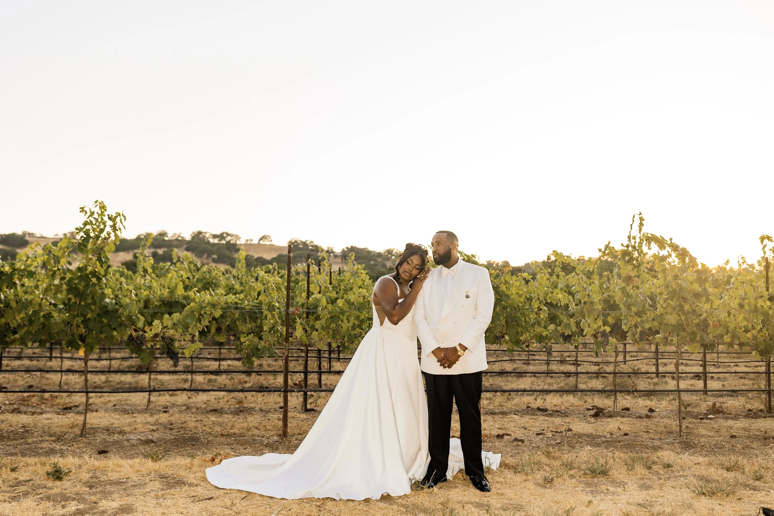 A couple dressed in wedding attire standing in a vineyard at sunset