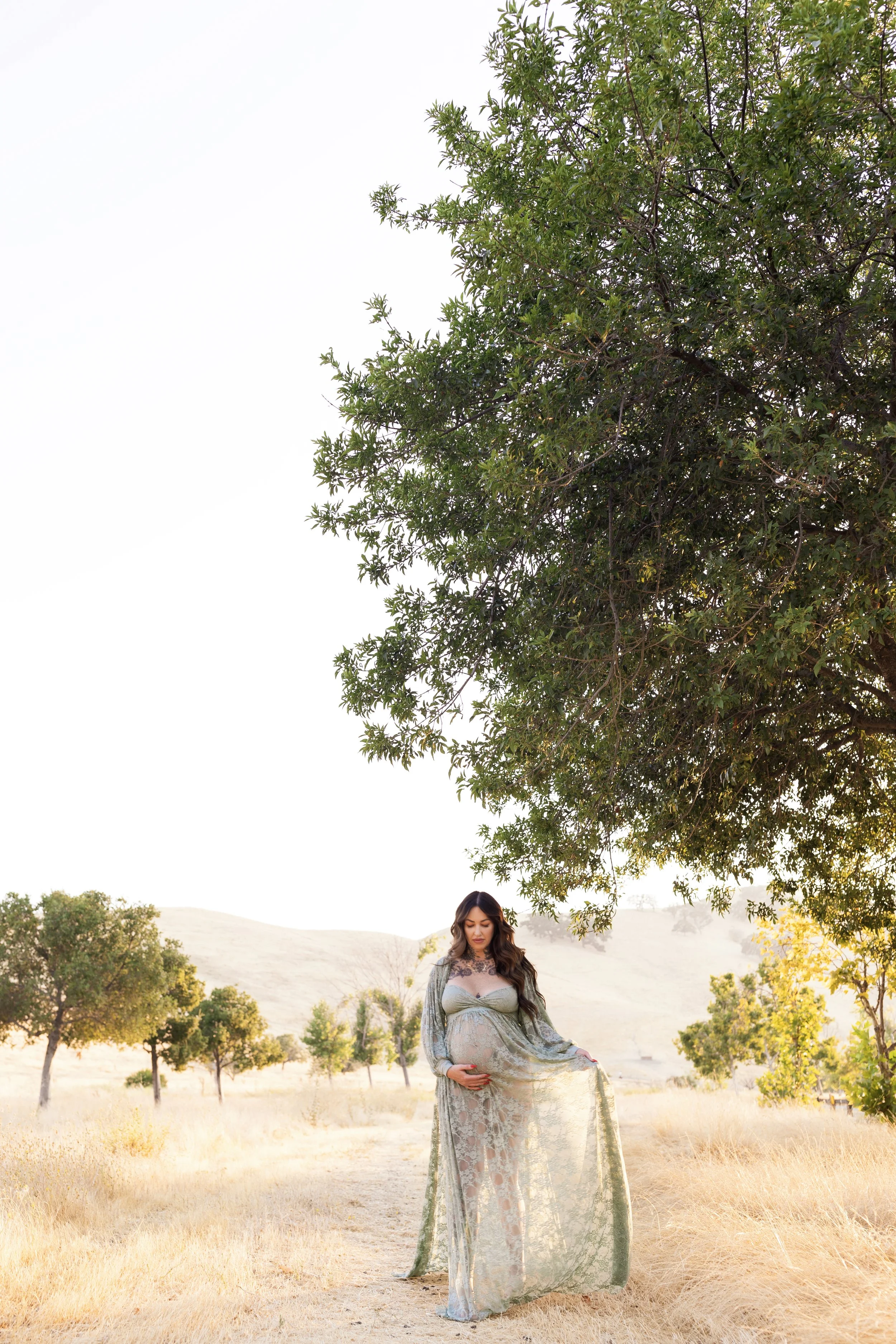 A pregnant woman wearing a long, flowing lace dress standing outdoors in a field with trees and hills in the background under a large tree. She gently holds her belly and looks down.