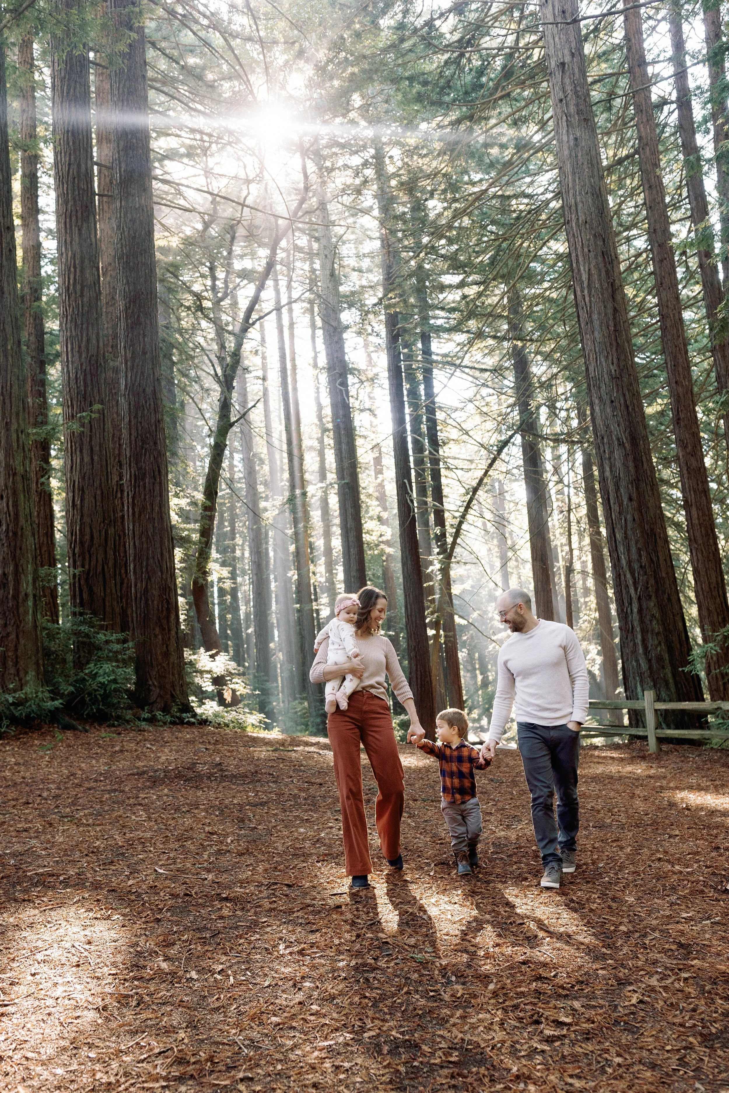 A family of four walking hand in hand in a forest with tall trees and sunlight filtering through the branches.