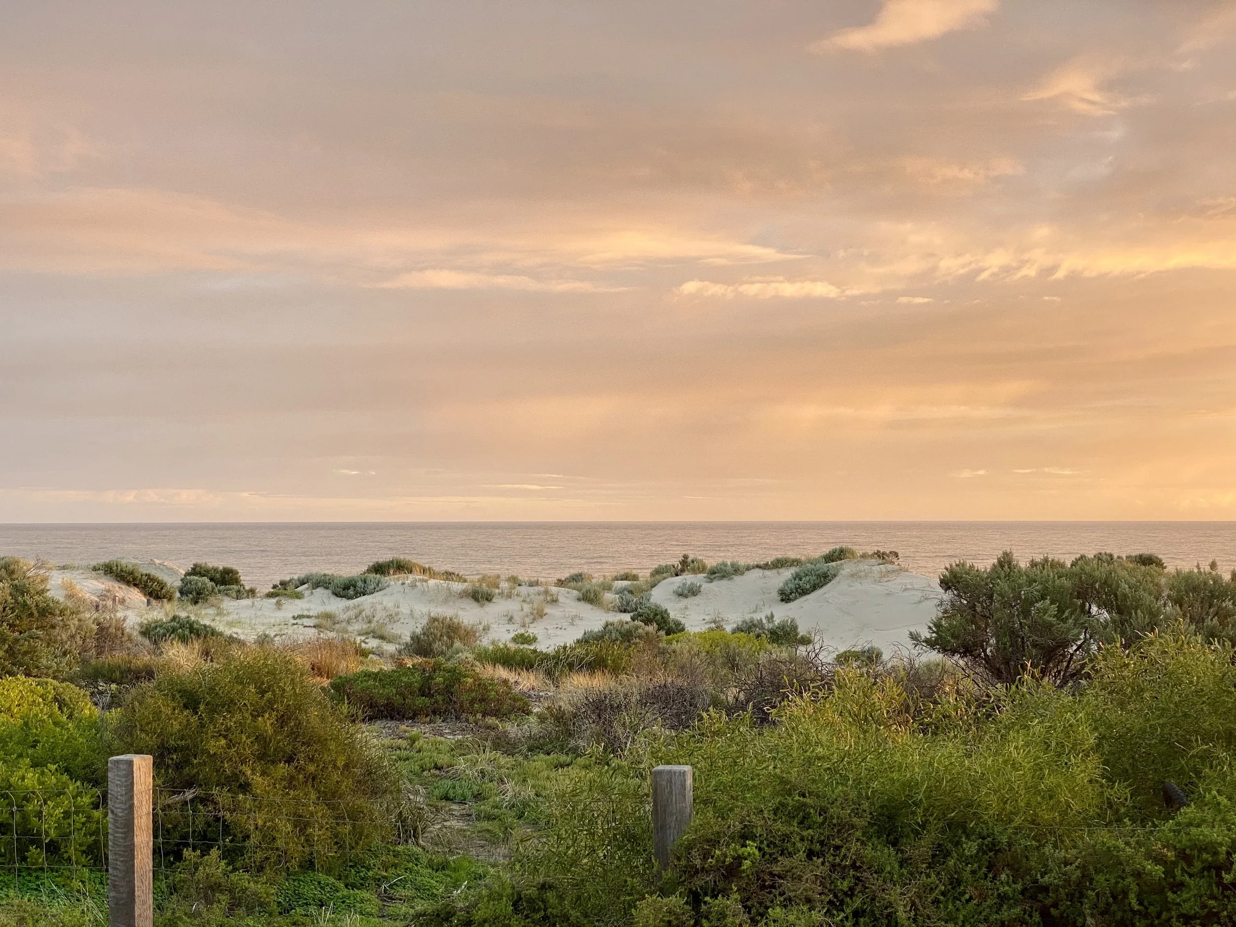 A scenic view of a beach landscape at sunset, featuring sand dunes, green bushes, and a calm sea under a colorful sky with clouds.