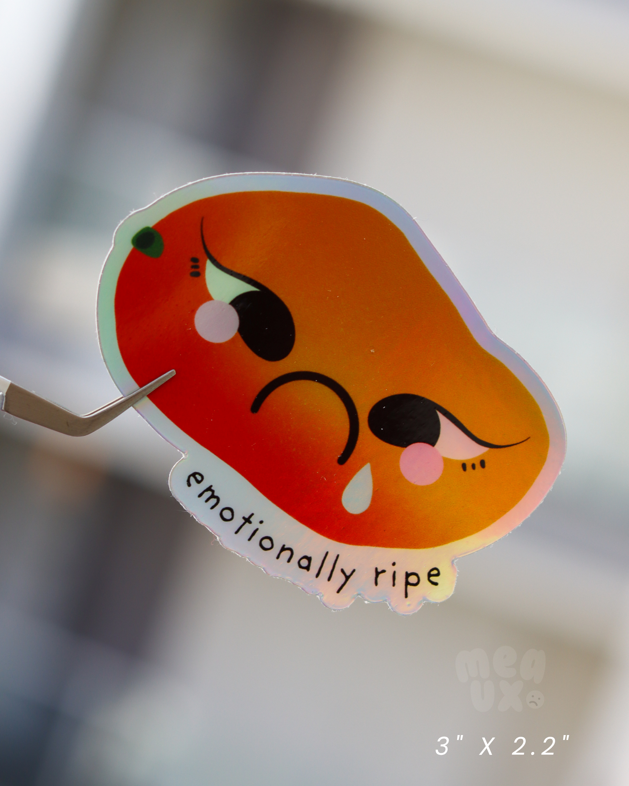 13.png