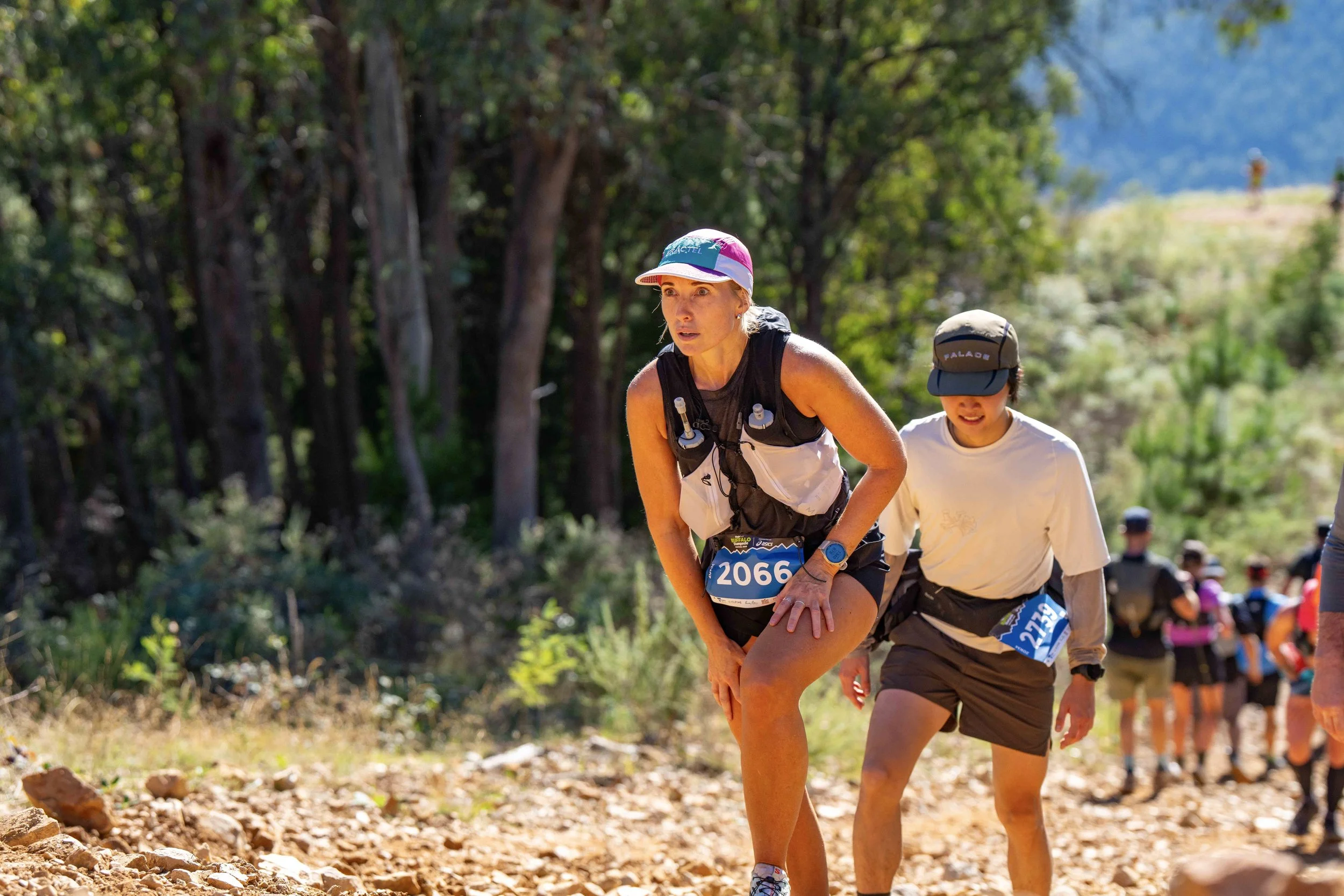 A group of runners participating in a trail race in a forested area with mountains in the background, some runners are seen in the background.