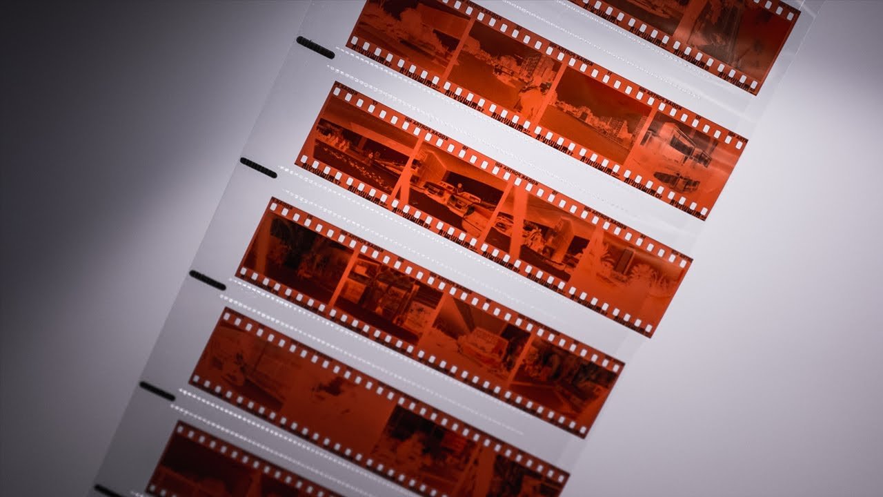 Sleeves of photo negatives.
