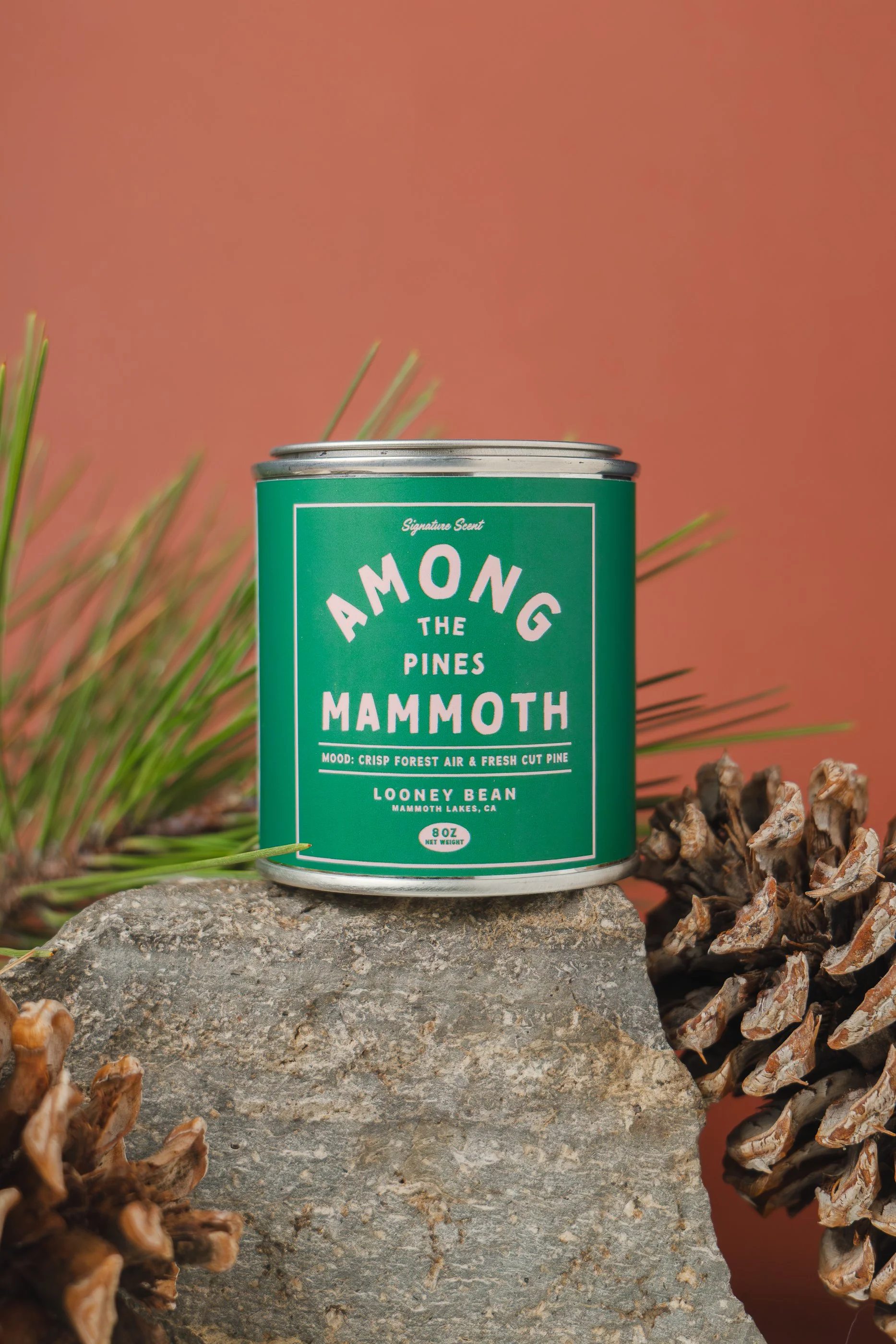 A green can labeled "Among the Pines Mammoth" placed on a rock with pinecones and pine needles around it, against a pink background.