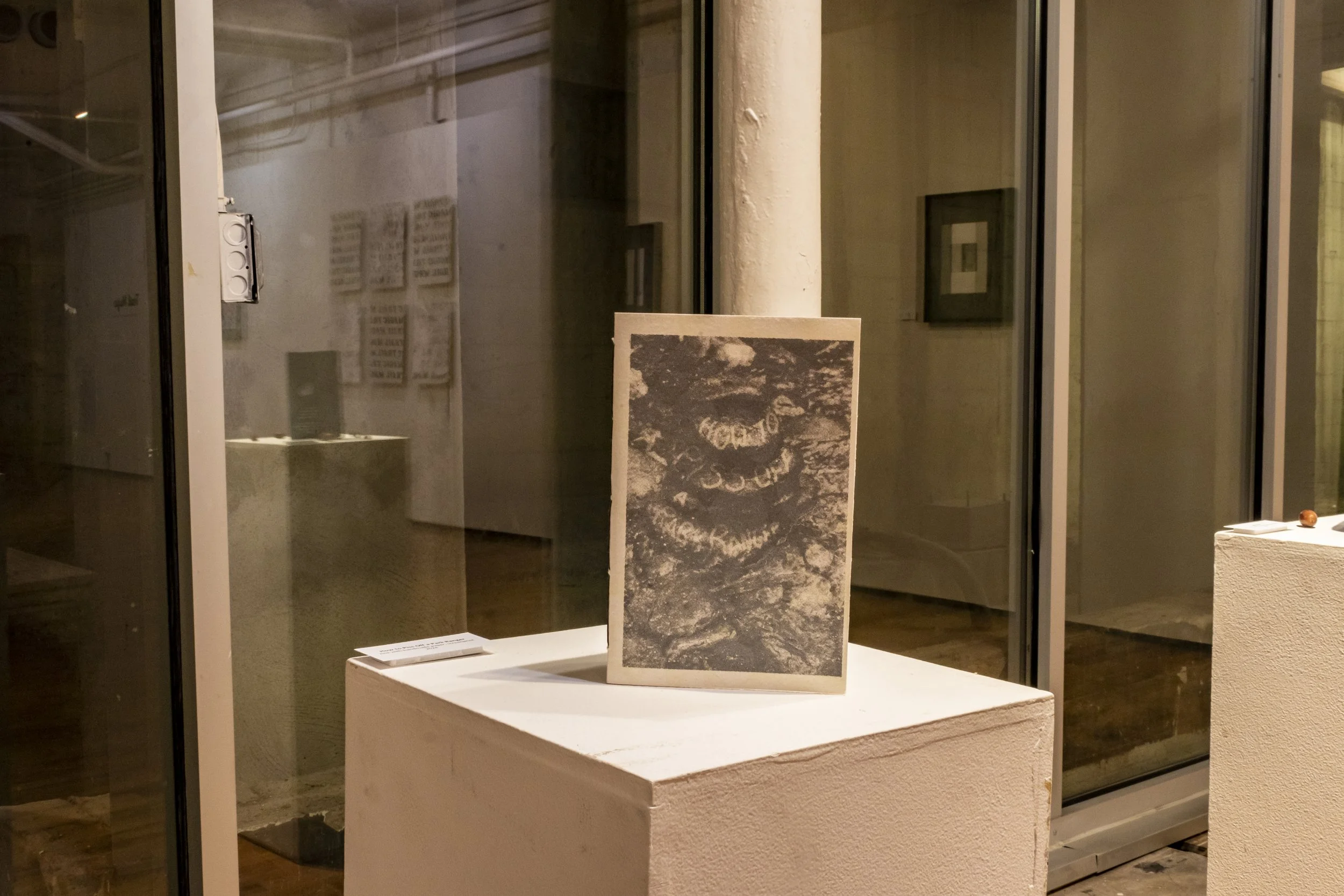 20241013 untitled 15575.jpg