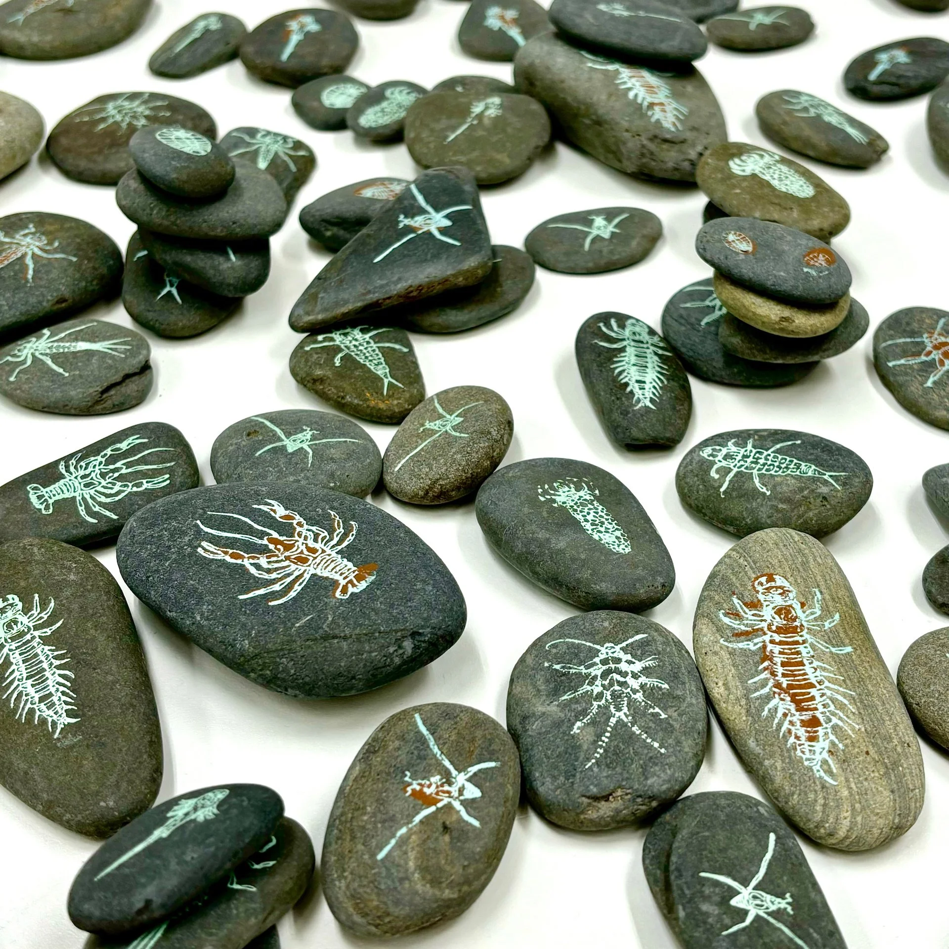 Nymphs, screenprint on river stones, 2024