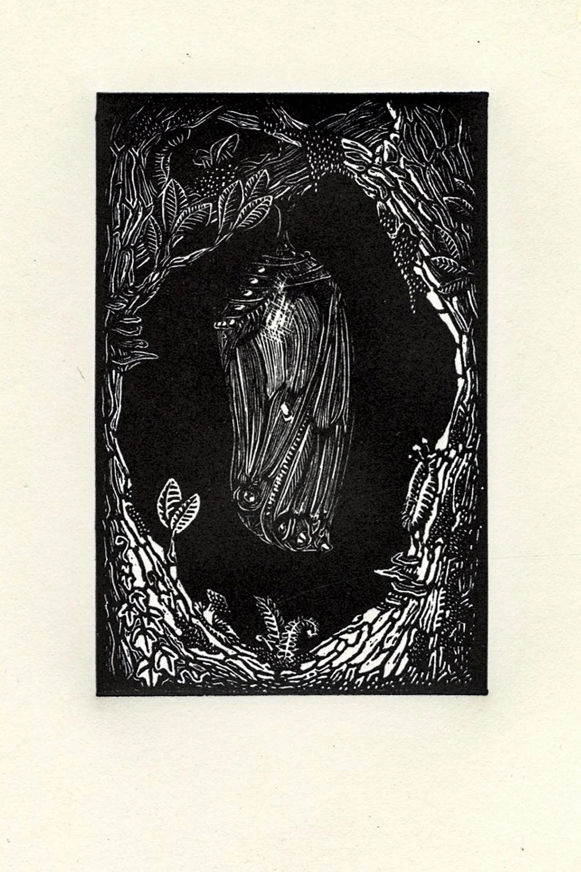 Princess, wood engraving, 7 x 11" 2025