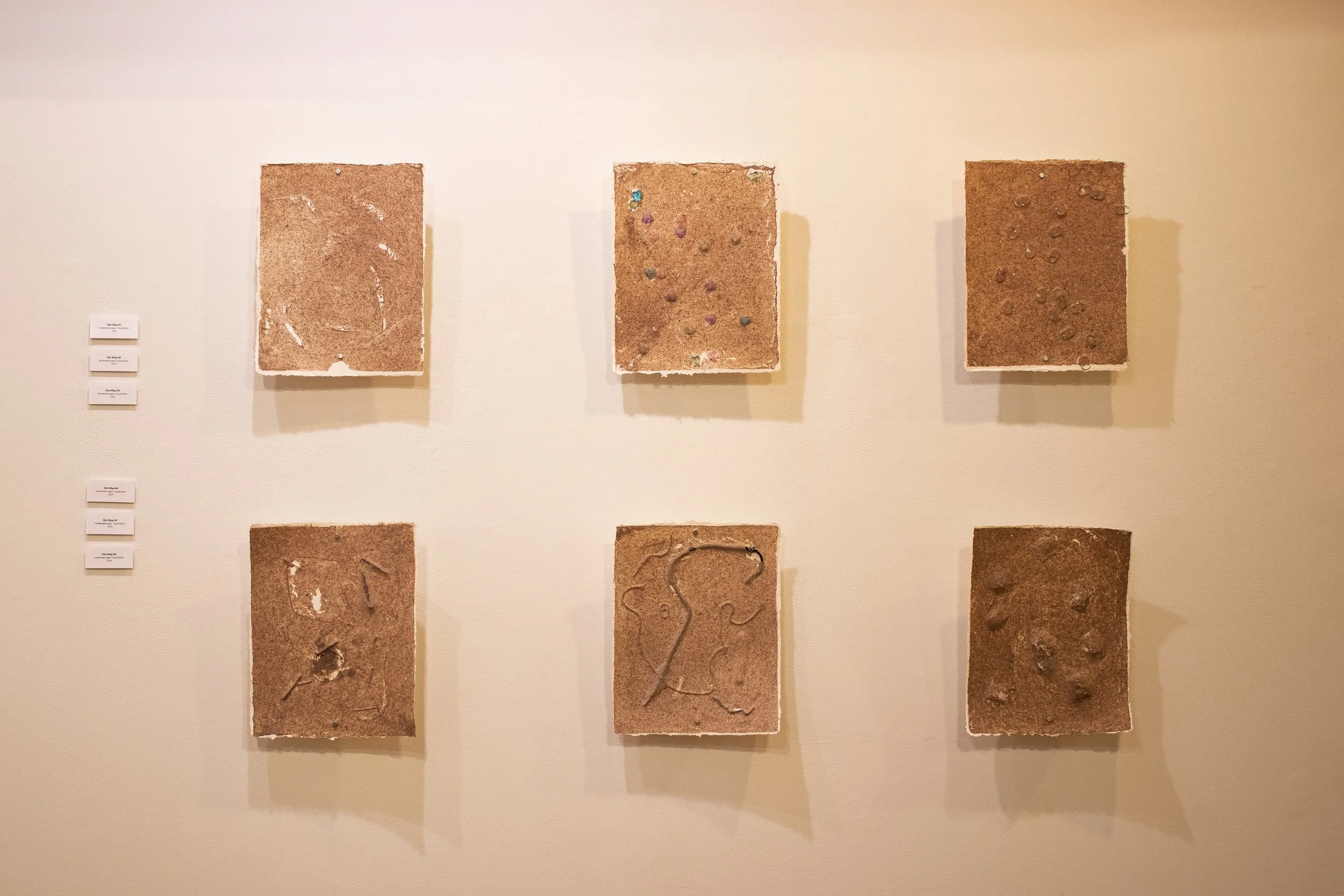 20241013 untitled 15635.jpg