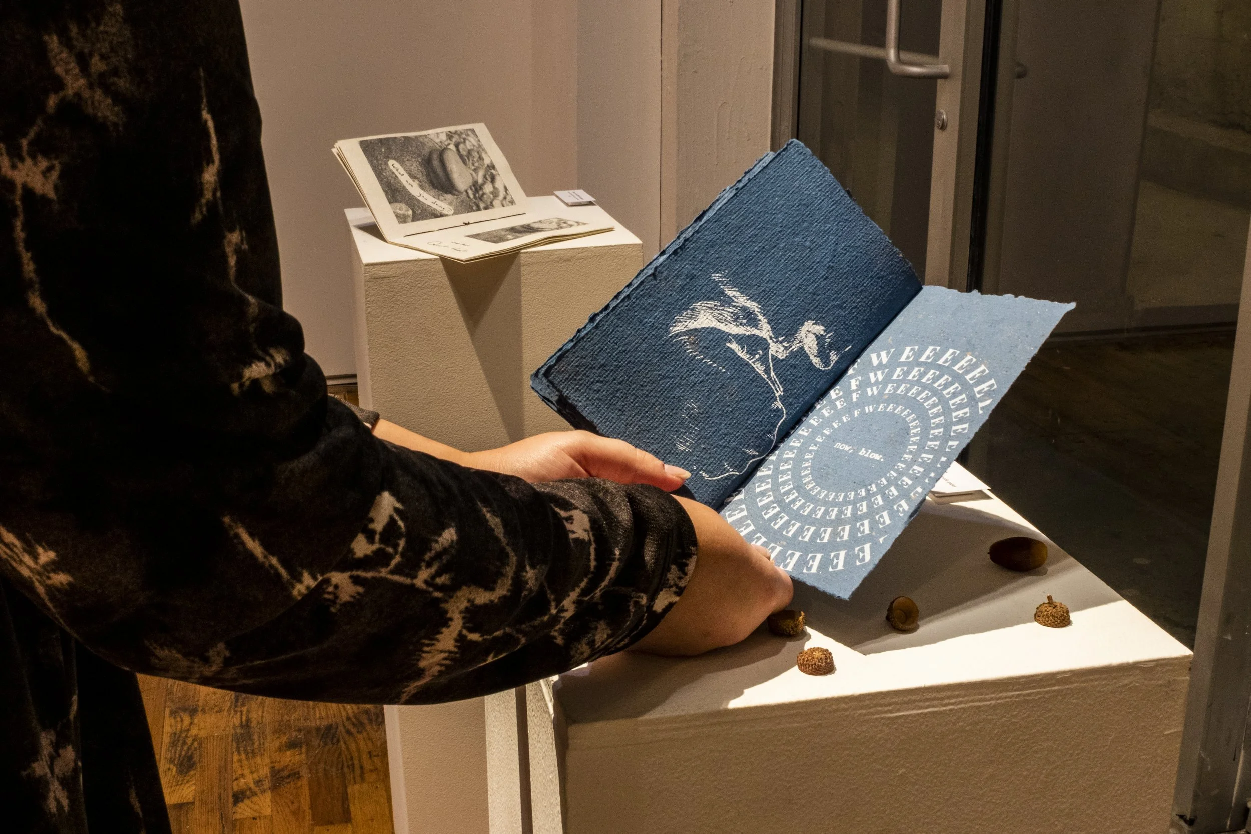 20241013 untitled 15563.jpg