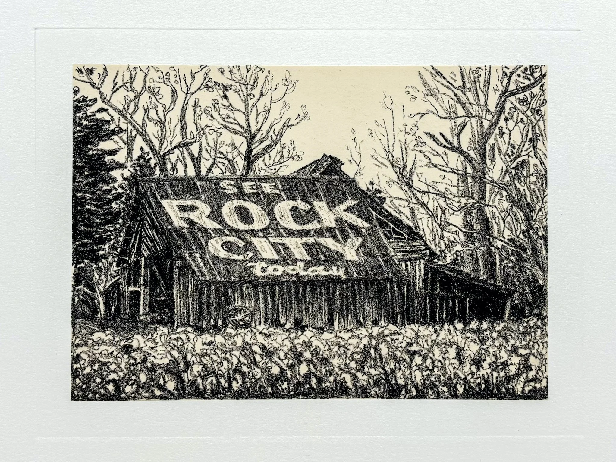 Fading Landscapes, intaglio, 13 x 9" 2024