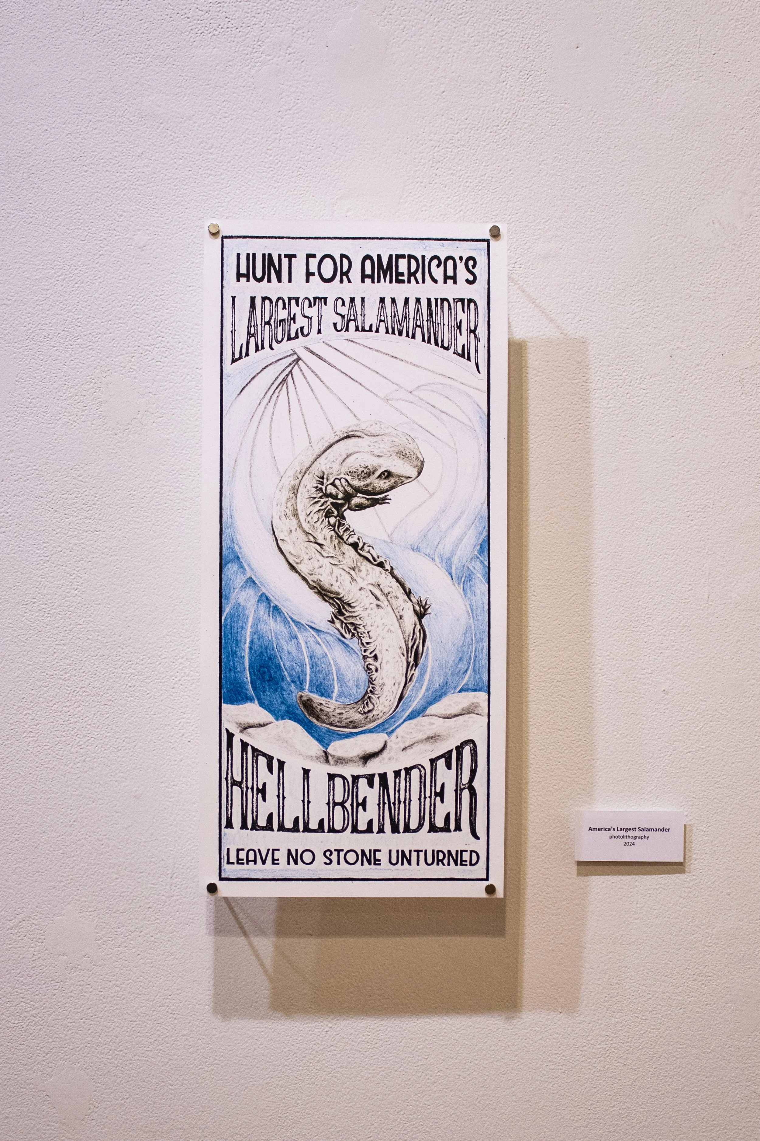 20241013 untitled 15710.jpg