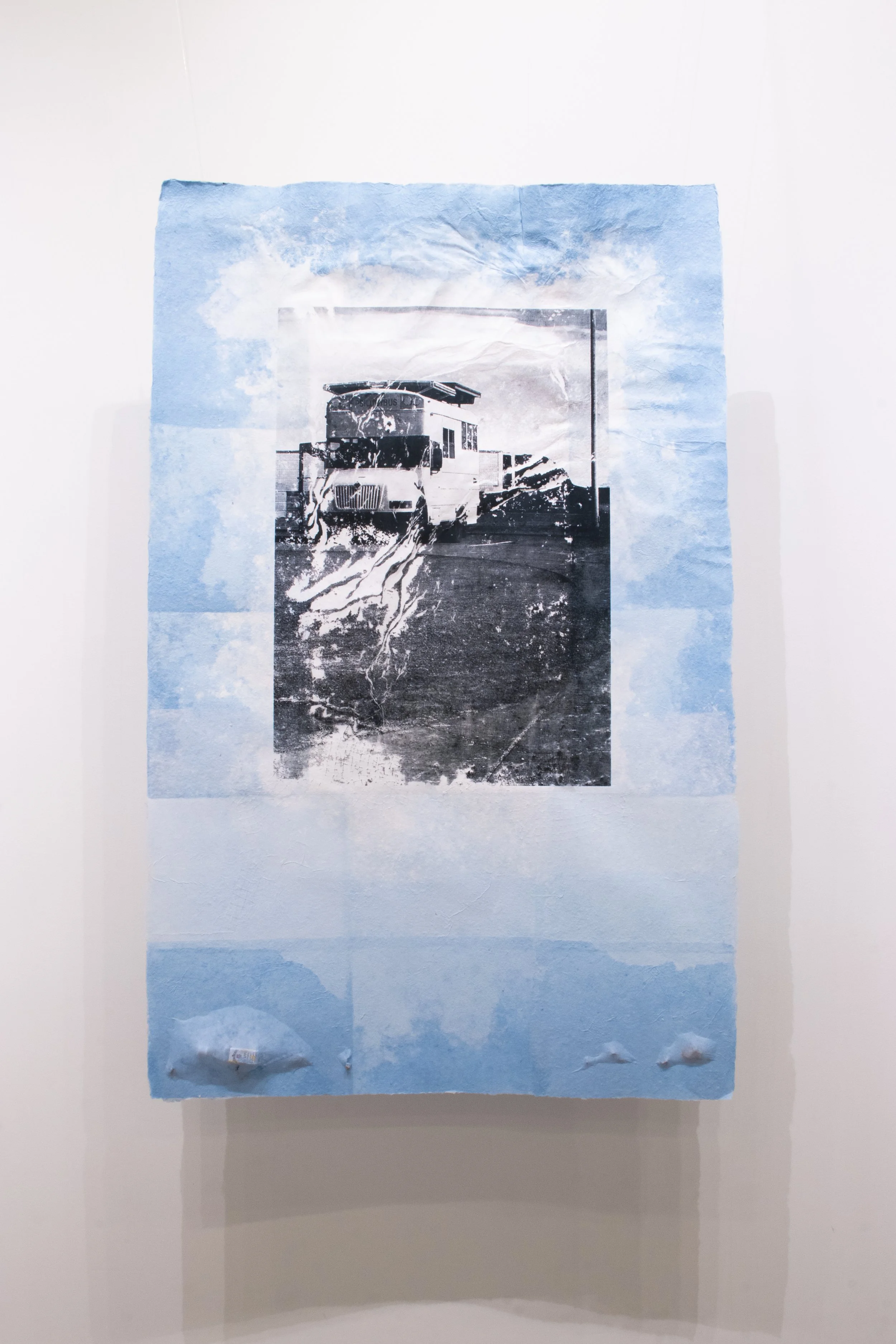 Psilocybus/Modern Pioneer, screenprint on handmade paper with inclusions, 2026