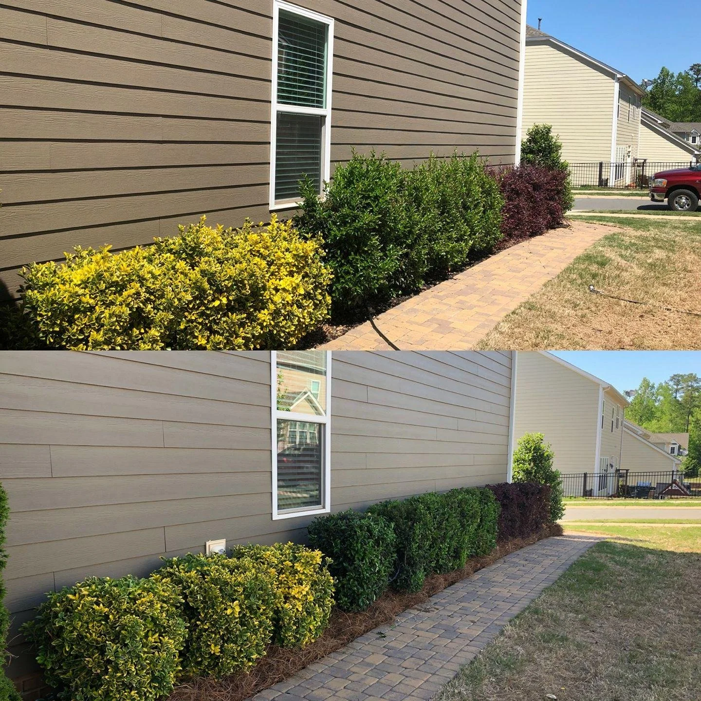 Professional Trimming & Cleanup Service