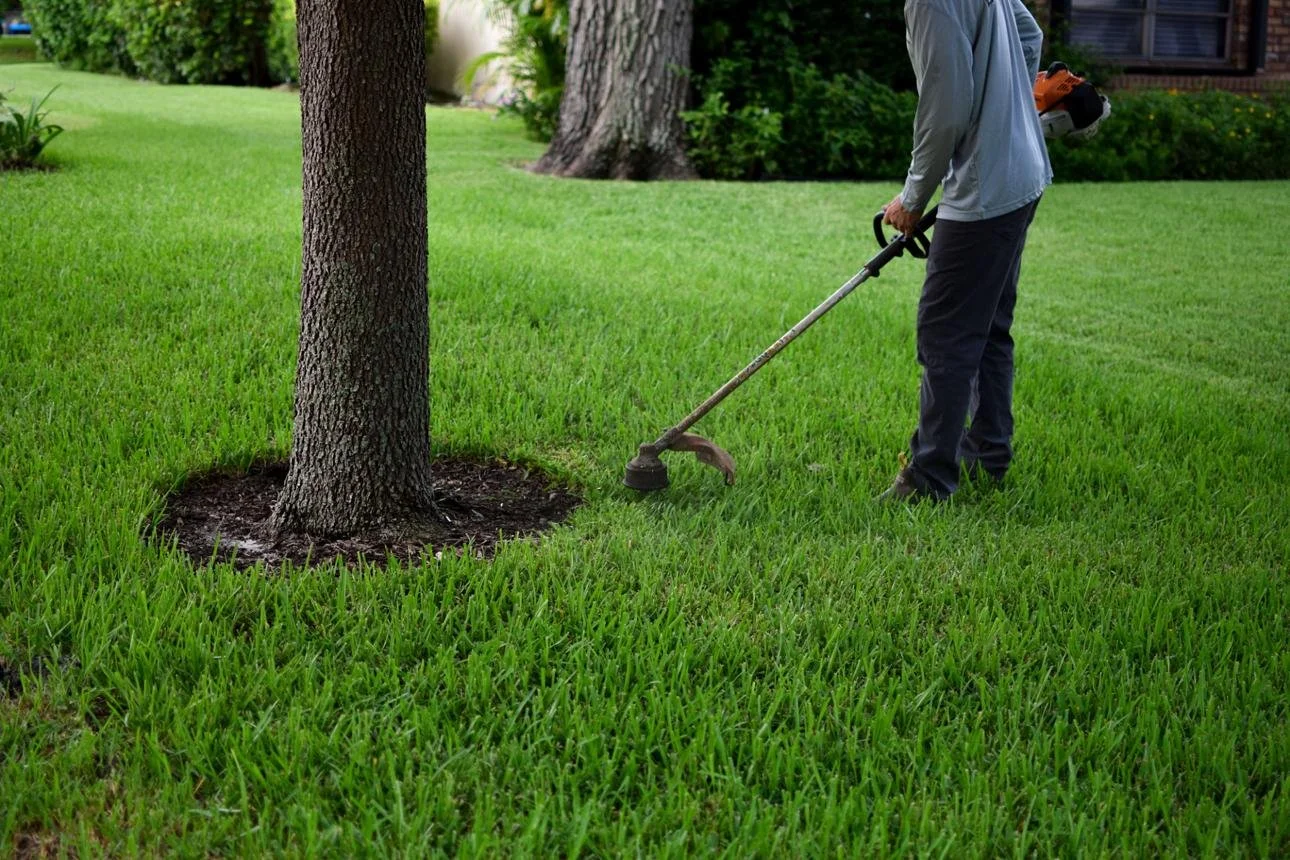 Premium Lawn Maintenance Service
