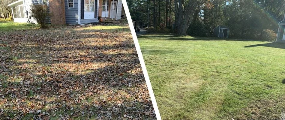 Ultimate Yard Cleanup & Debris Removal Service
