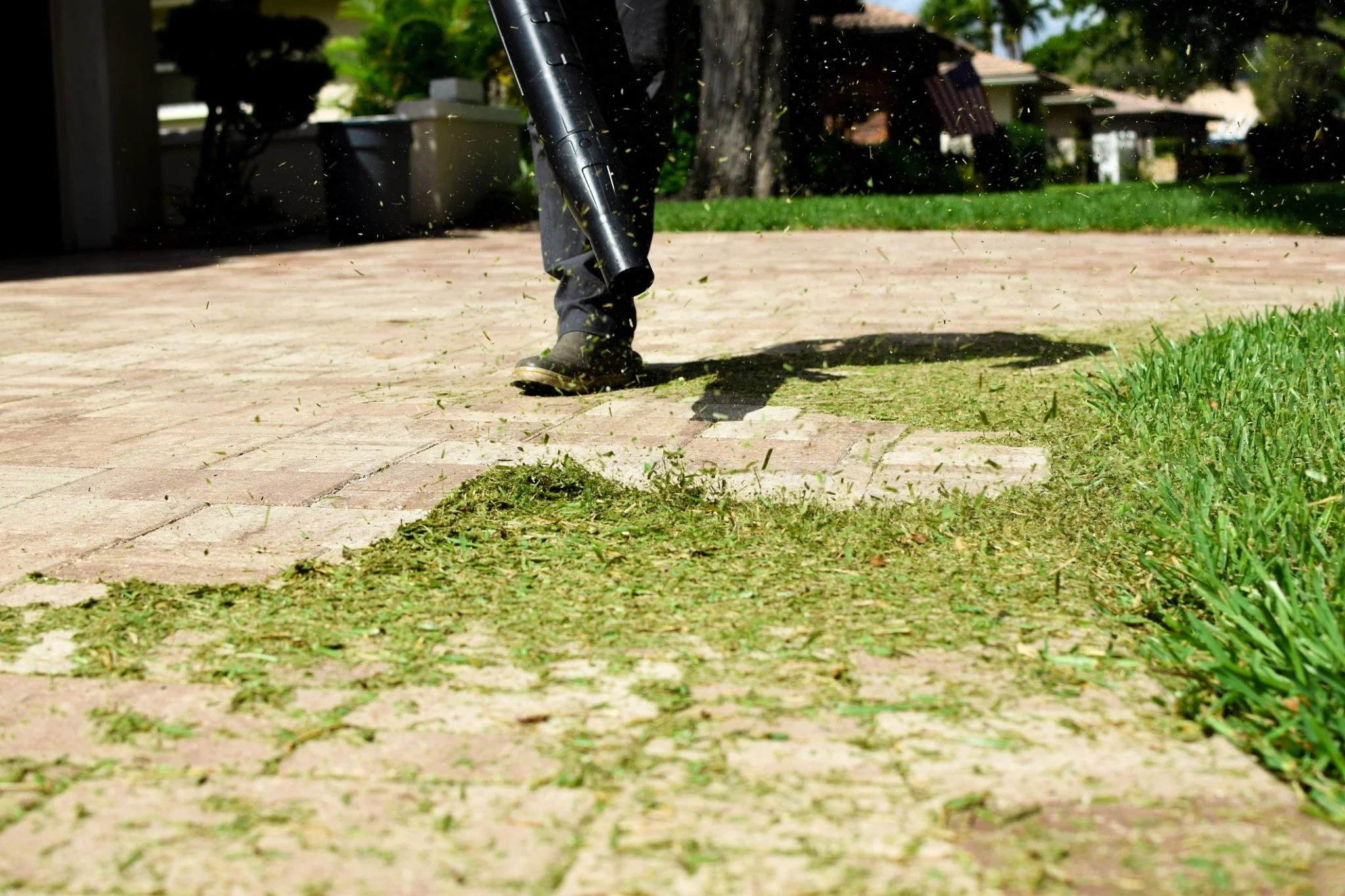 Ultimate Outdoor Cleanup Service