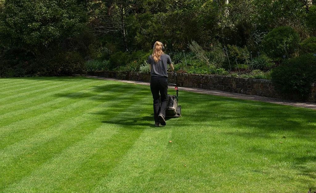 Perfect Lawn Mowing Service