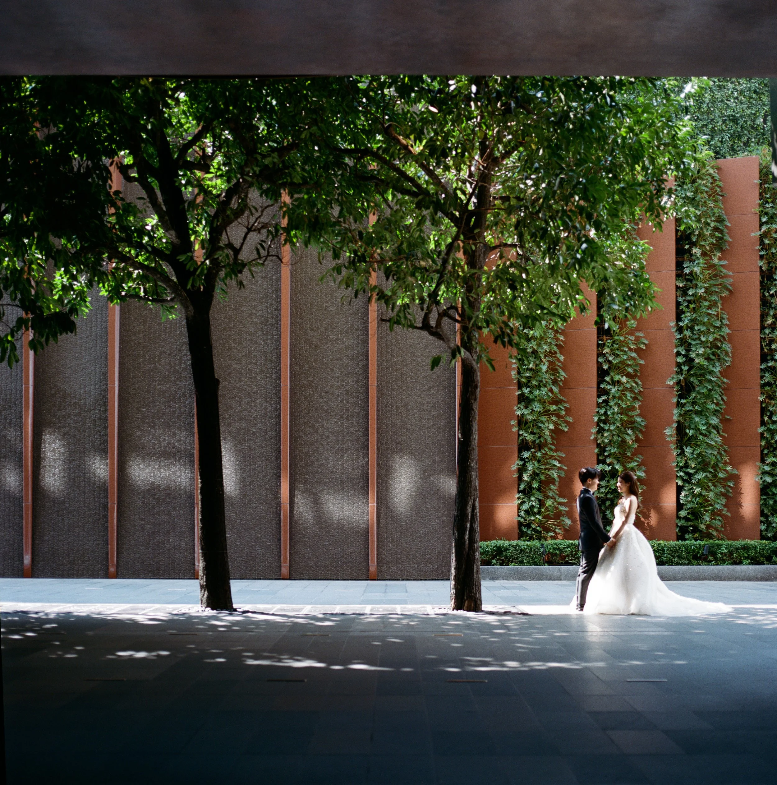 Analogue of Yoyo + Sherman-6.jpg