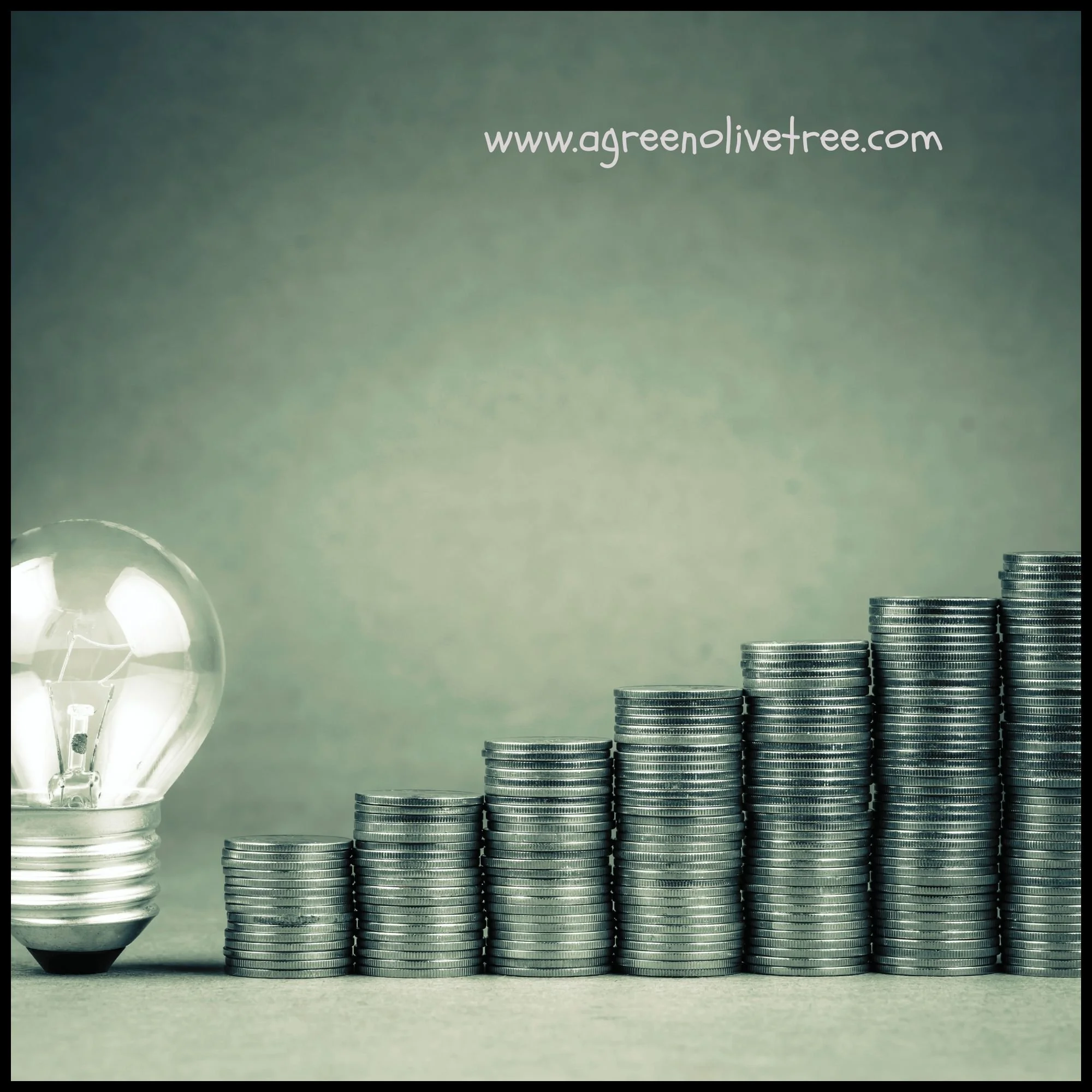 100 Principles of Money, Mindset, and Financial Freedom.