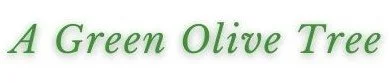 A Green Olive Tree