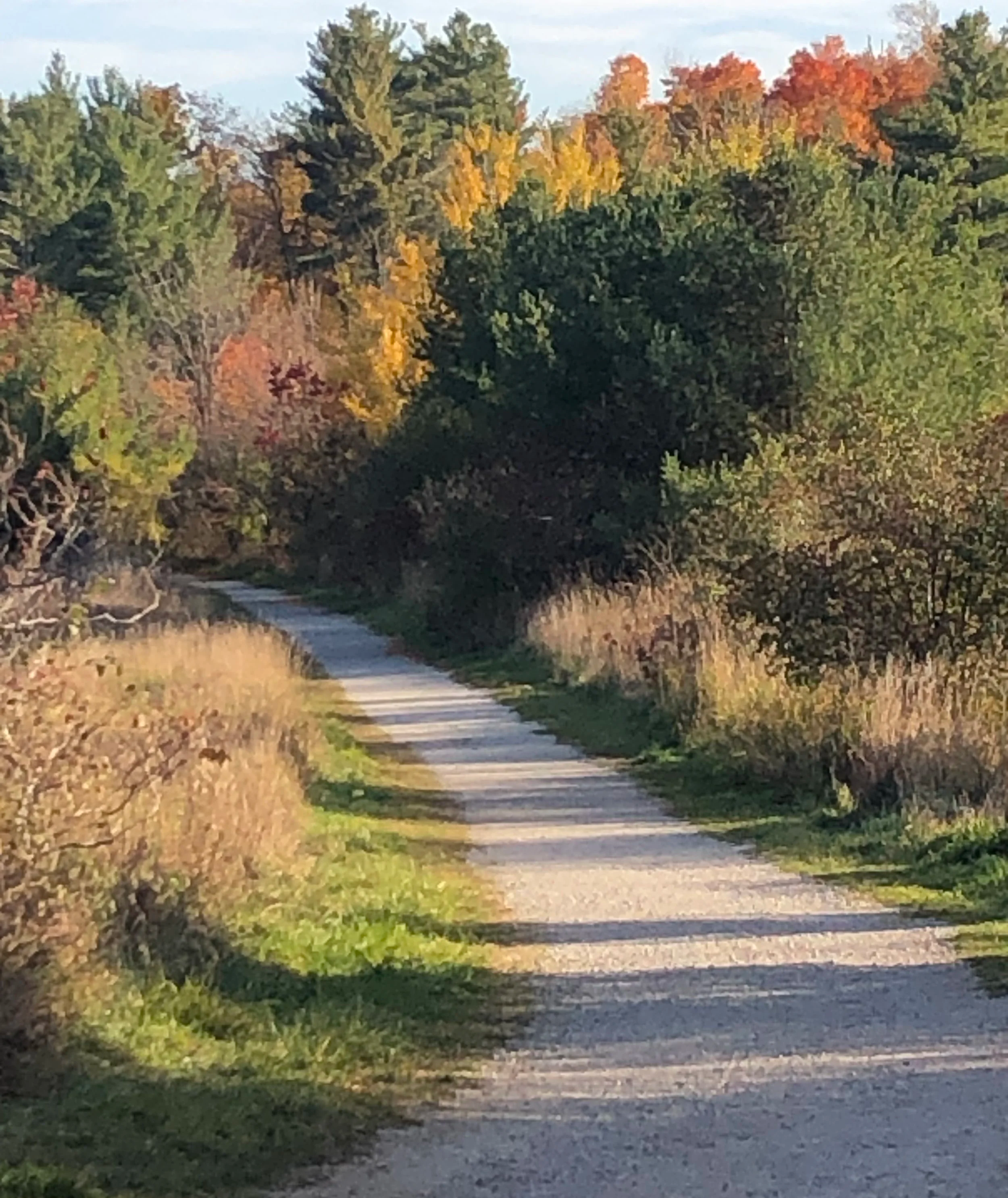 A dirt and gravel path winding through a wooded area during autumn, with trees displaying fall foliage in shades of green, yellow, orange, and red.