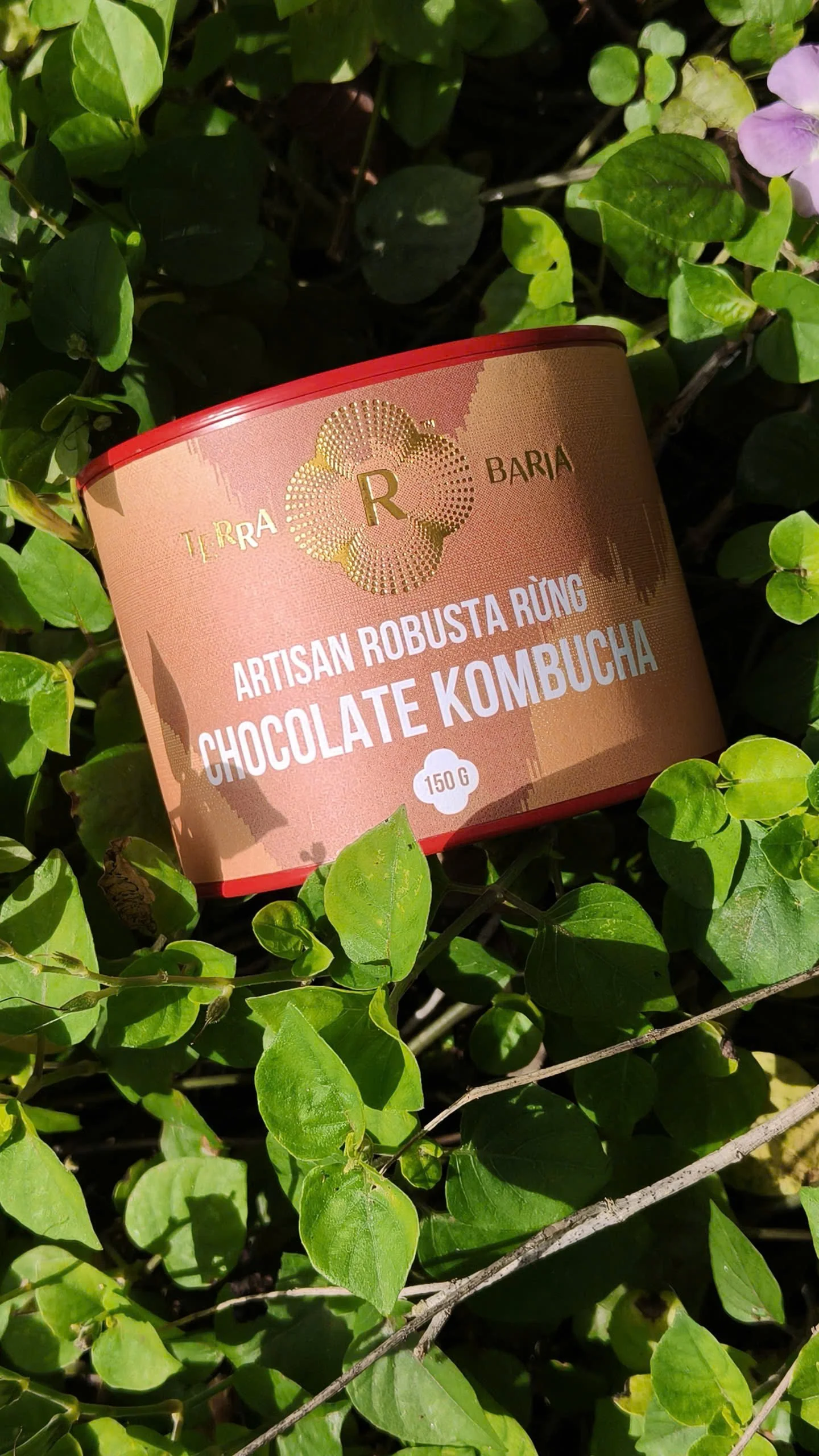 "Artisan Robusta Rừng Chocolate Kombucha", natural coffee beans in a stylish, gift-ready packaging.