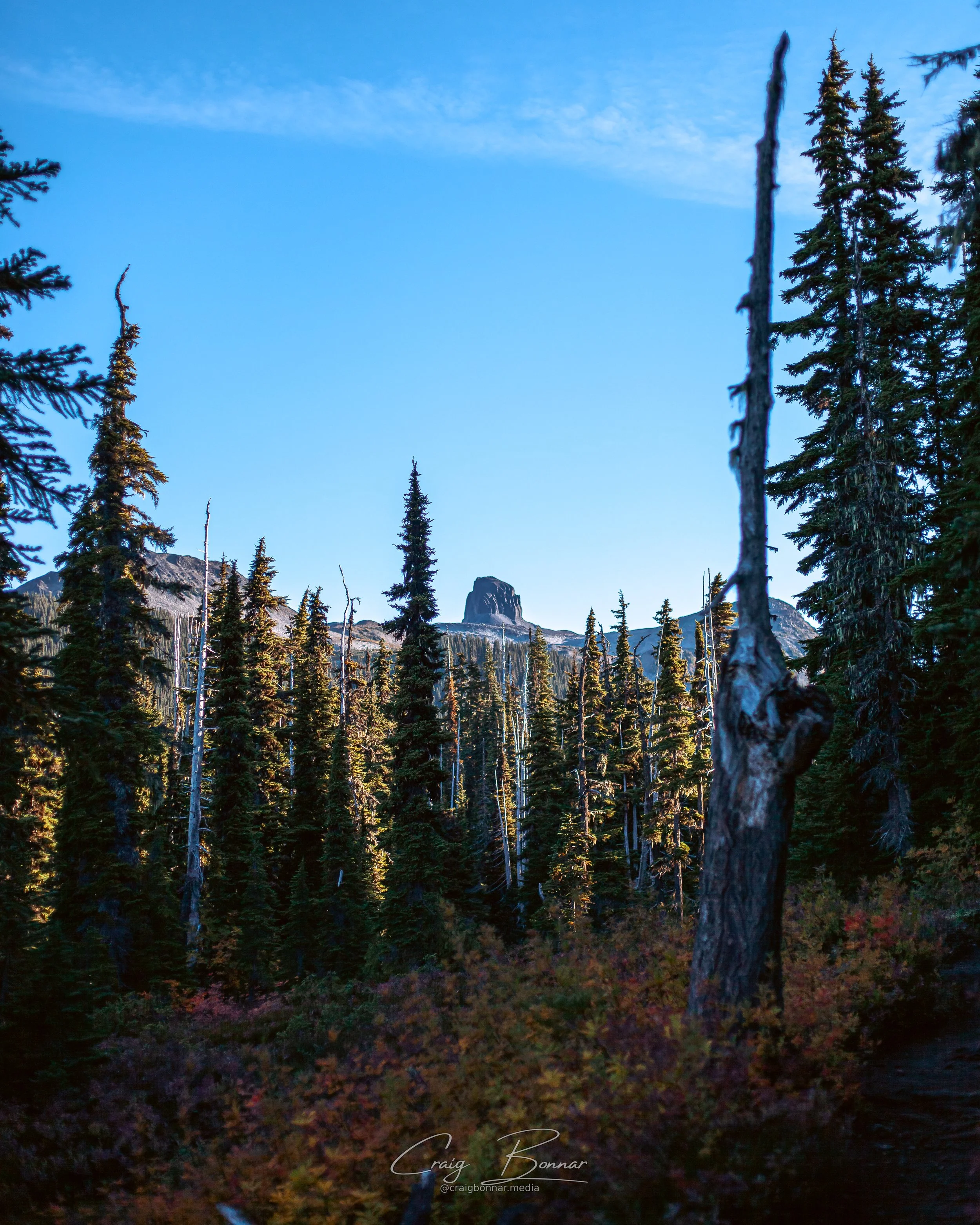 _MG_0067.jpg