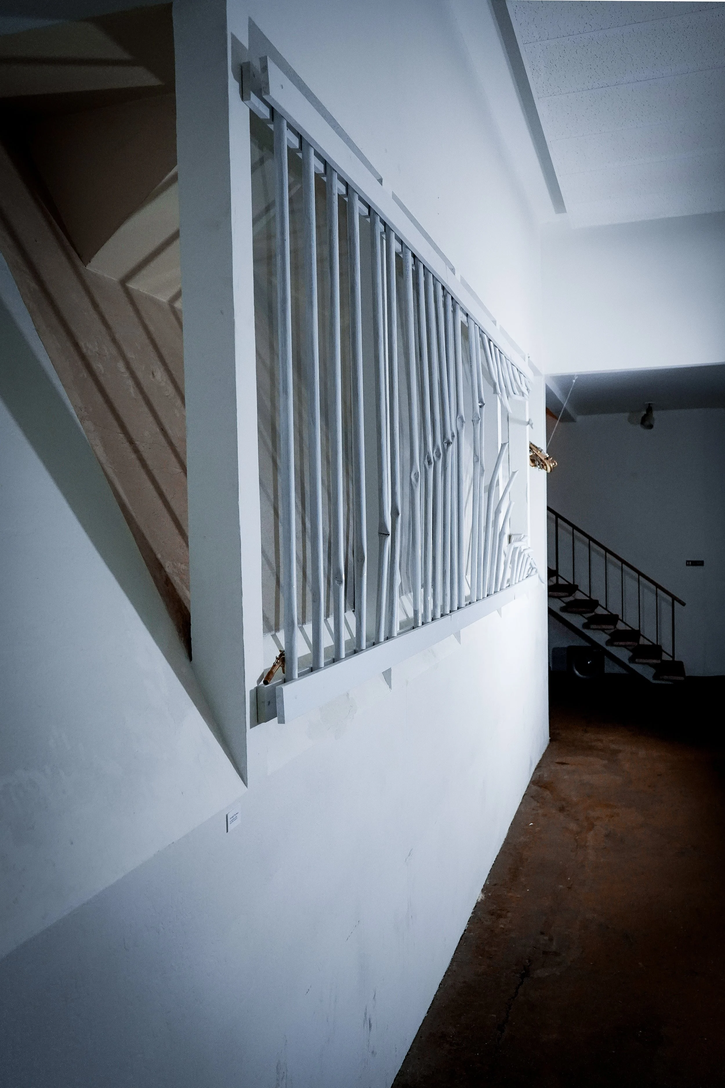 _DSC3320 tilted-lightroom.jpg