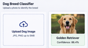 A dog breed classifier webpage with an option to upload a dog image and a picture of a golden retriever labeled 'Golden Retriever' with 86.4% confidence.