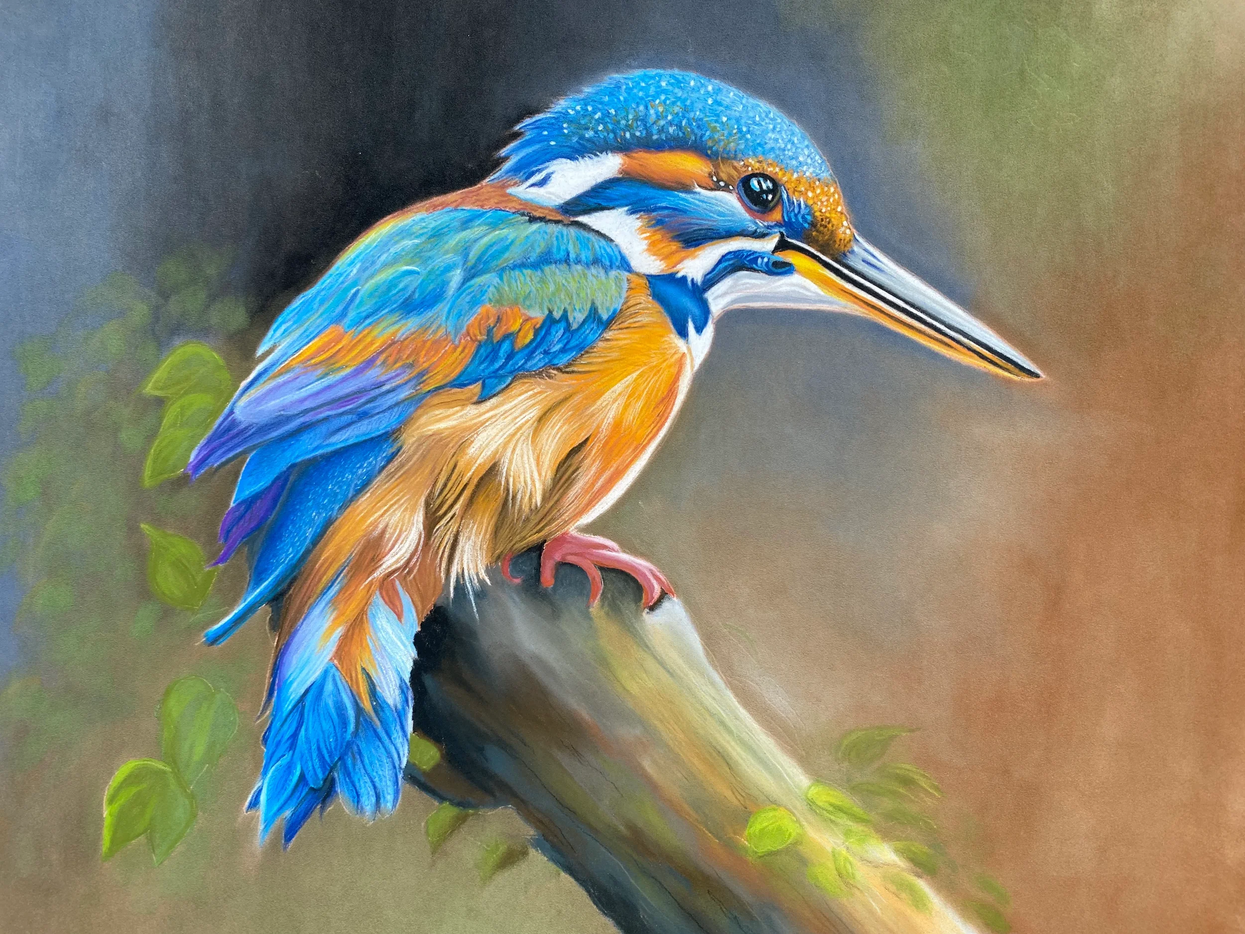 Portrait de martin-pêcheur au pastel sec, réalisme animalier peint à la main par Lydia Mériaux, artiste peintre dans la Somme.