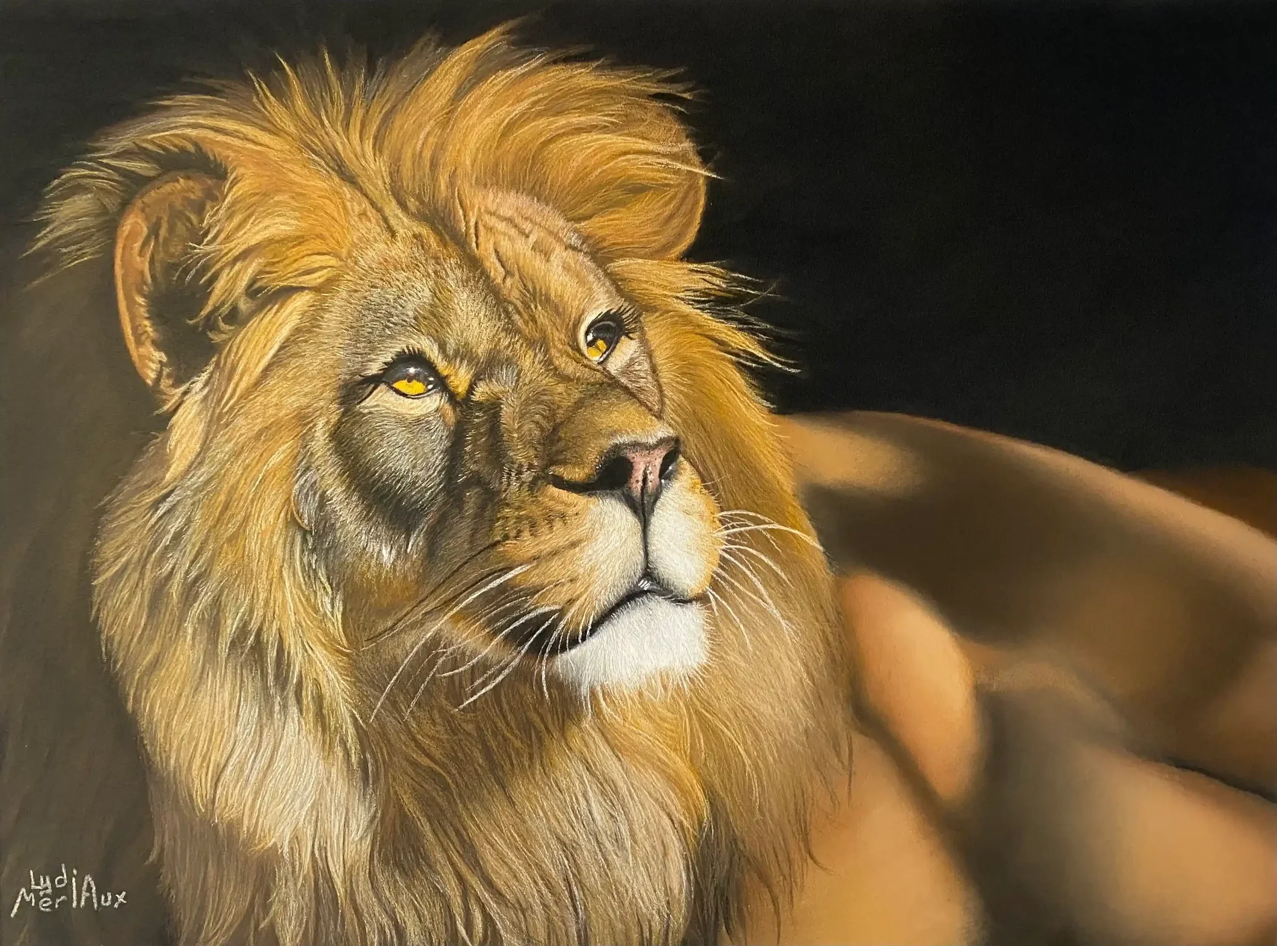 Portrait d'un lion allongé réalisé au  pastel sec,  peint à la main par Lydia Mériaux, artiste peintre installée en Picardie dans la Somme.
