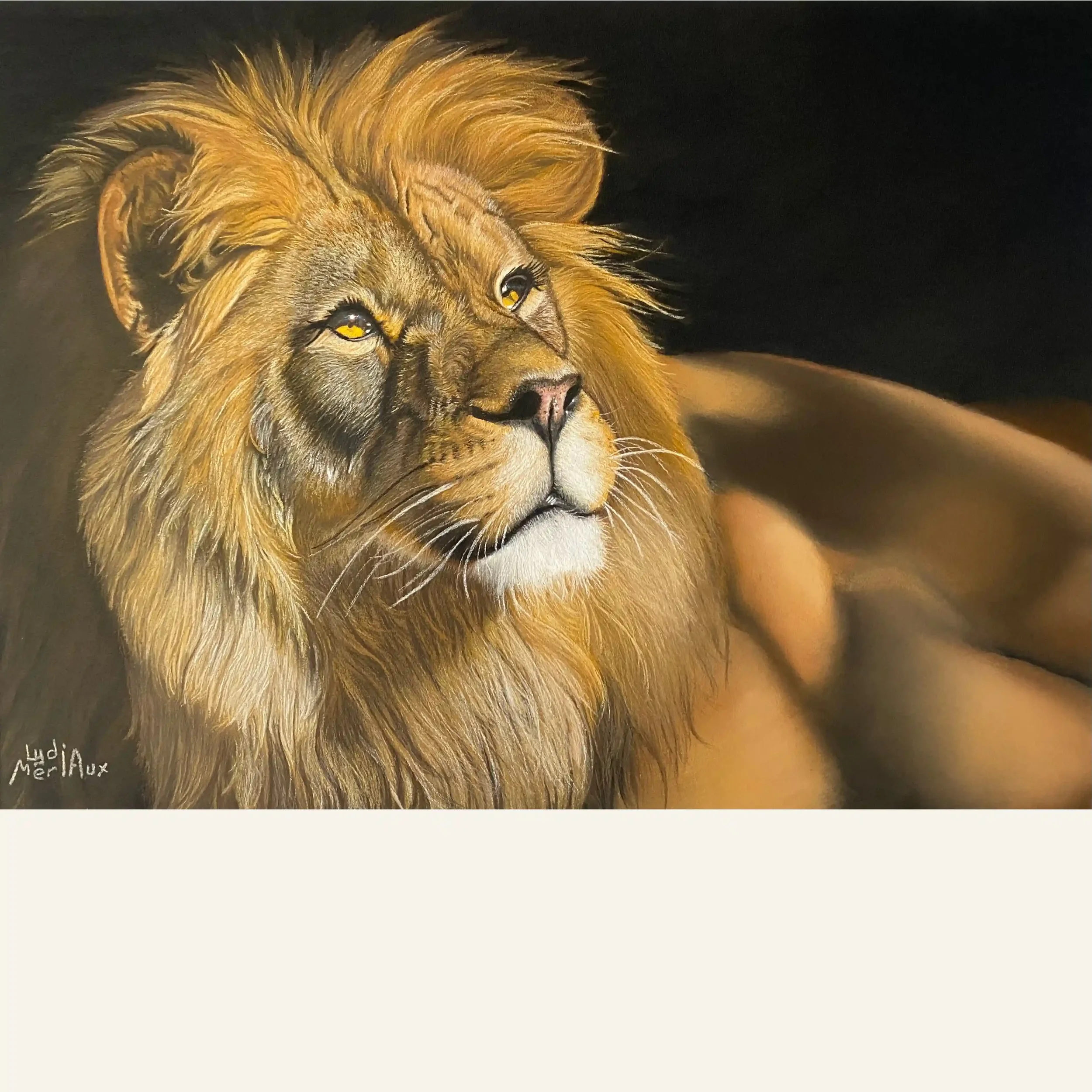 Le King, pastel sec sur Pastelmat 40x30 cm. Lydia Mériaux, artiste peintre