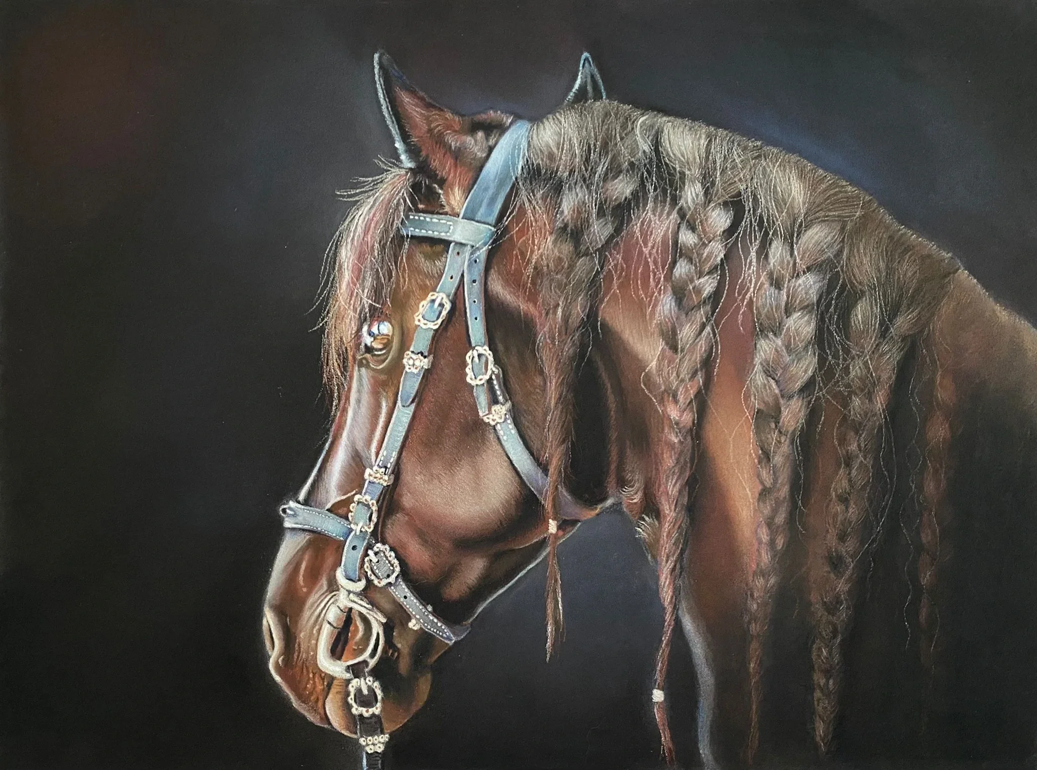 Portrait d'un cheval andalou au pastel sec, représentant sa tête ornée de tresses et d'un licol bleu sur fond sombre, peint par Lydia Mériaux — portrait animalier sur commande
