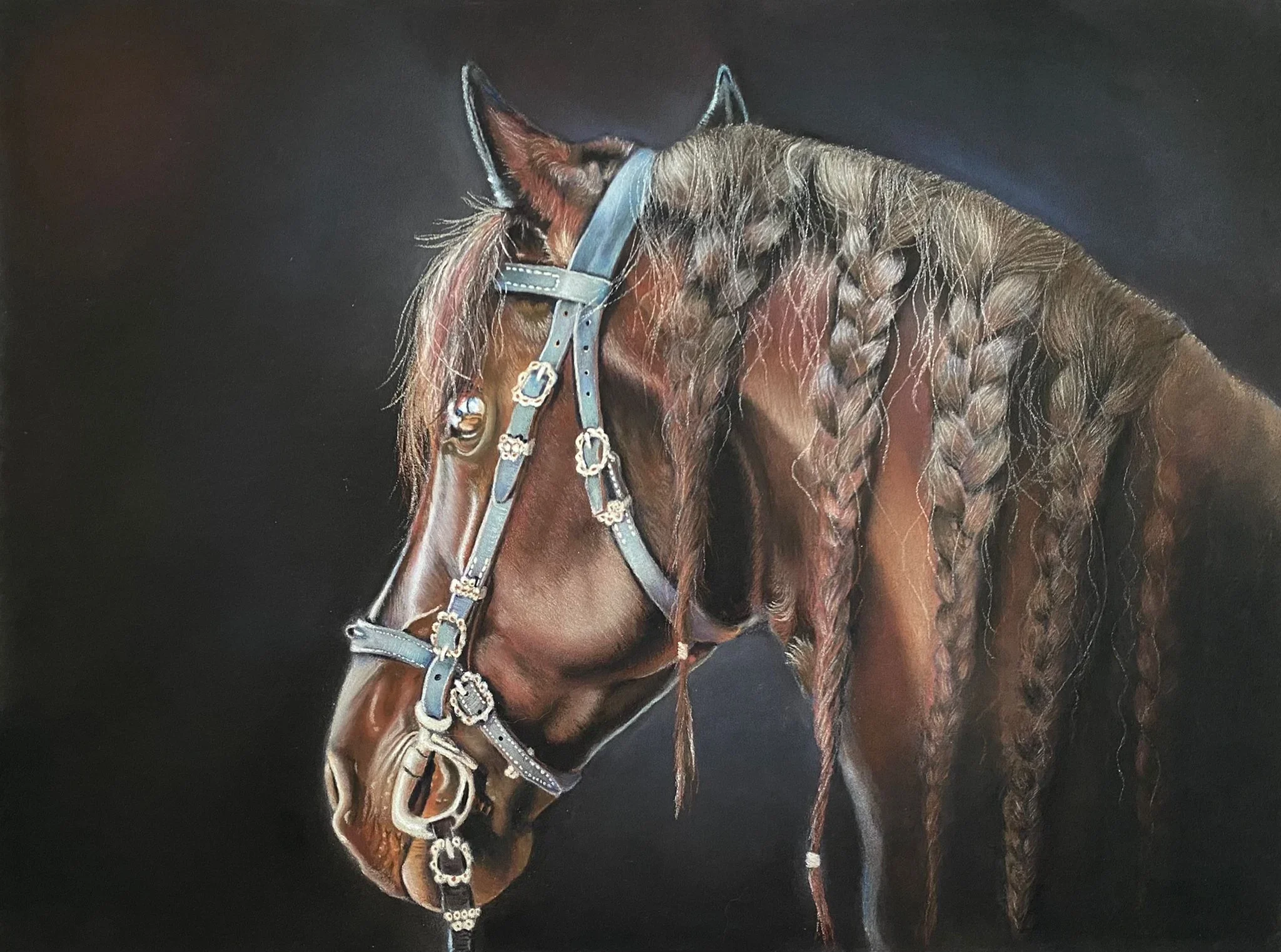 
Portrait de cheval andalou au pastel sec, art équestre réaliste peint à la main par Lydia Mériaux, artiste peintre en Hauts-de- France