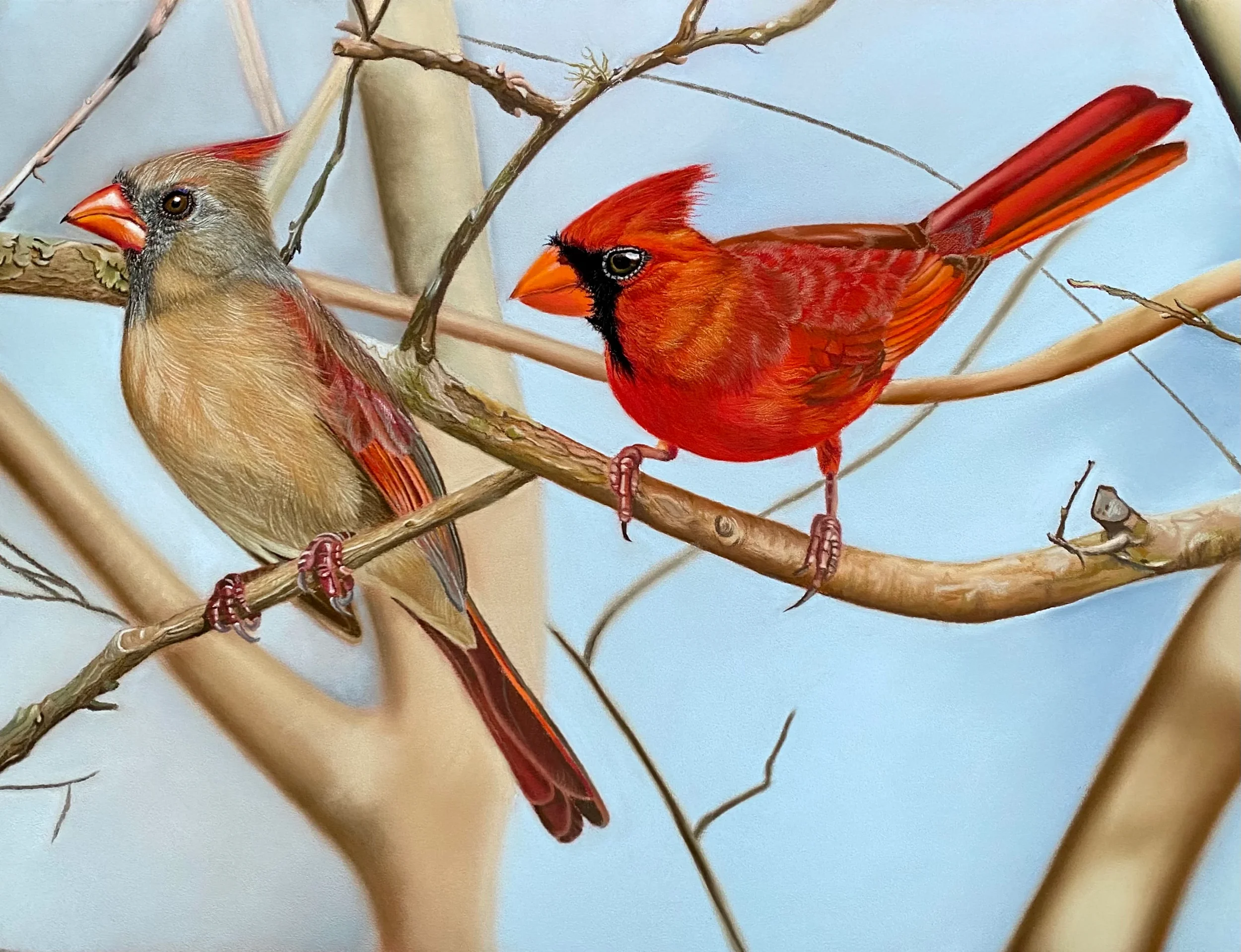 Romance cardinale — Pastel sec original de Lydia Mériaux