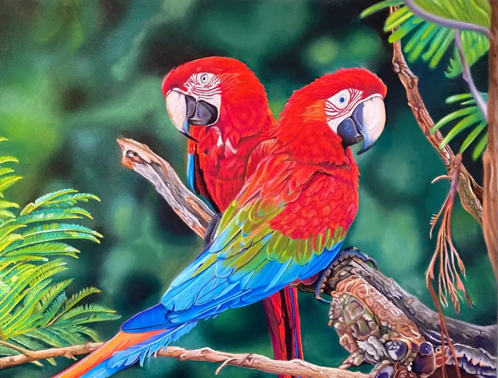 Portrait d'aras au pastel sec, composition deux perroquets peinte à la main par Lydia Mériaux, artiste peintre en Picardie