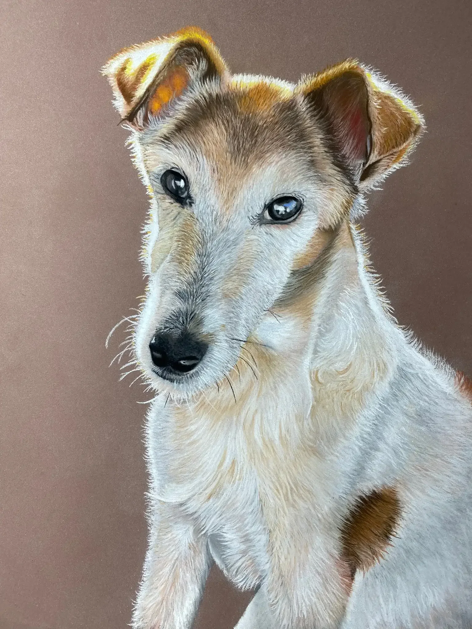 Portrait de fox-terrier au pastel sec, peint à la main par Lydia Mériaux, artiste peintre en Picardie