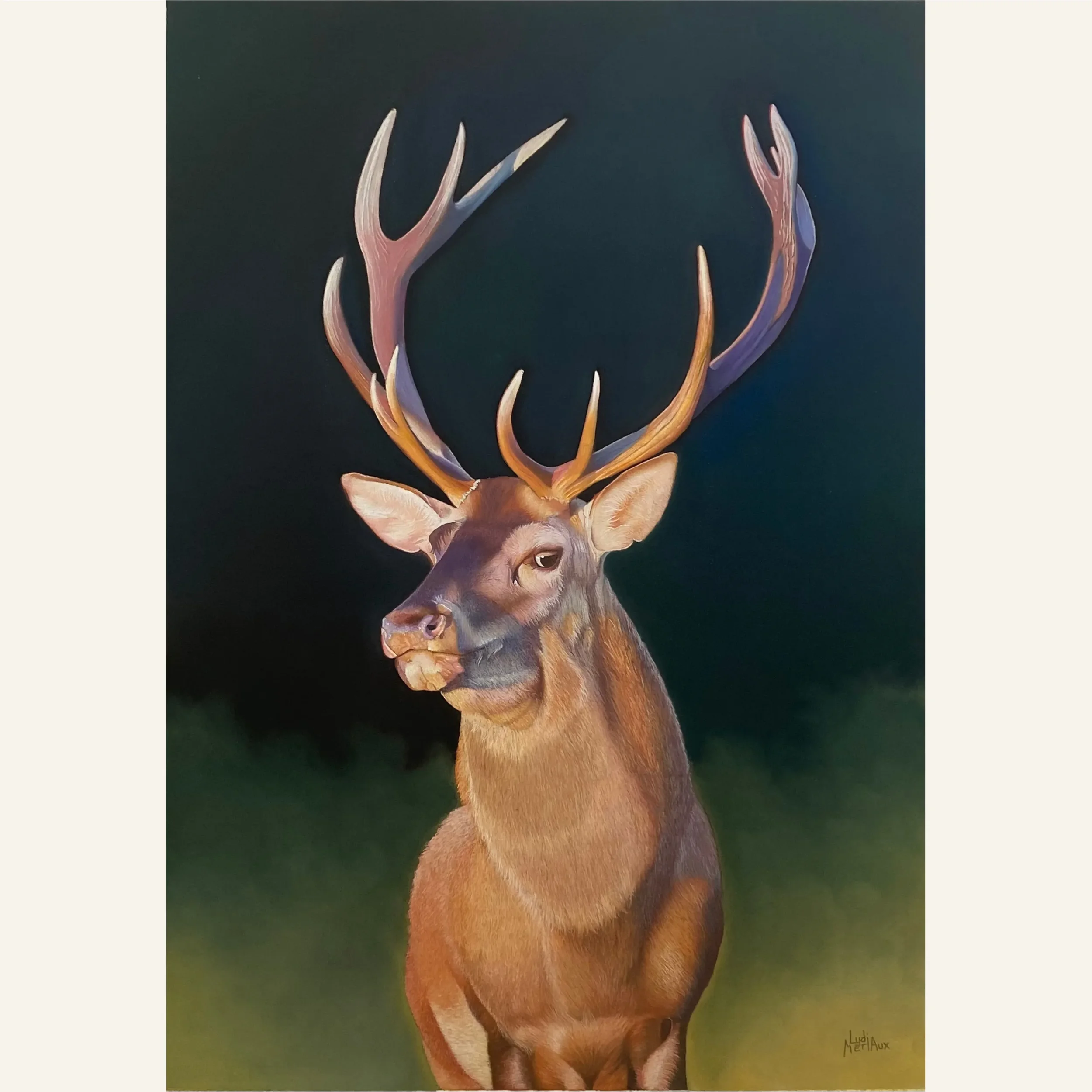 Le Cerf, portrait animalier au pastel sec sur papier Spectrum 50x70 cm. Lydia Mériaux, artiste peintre