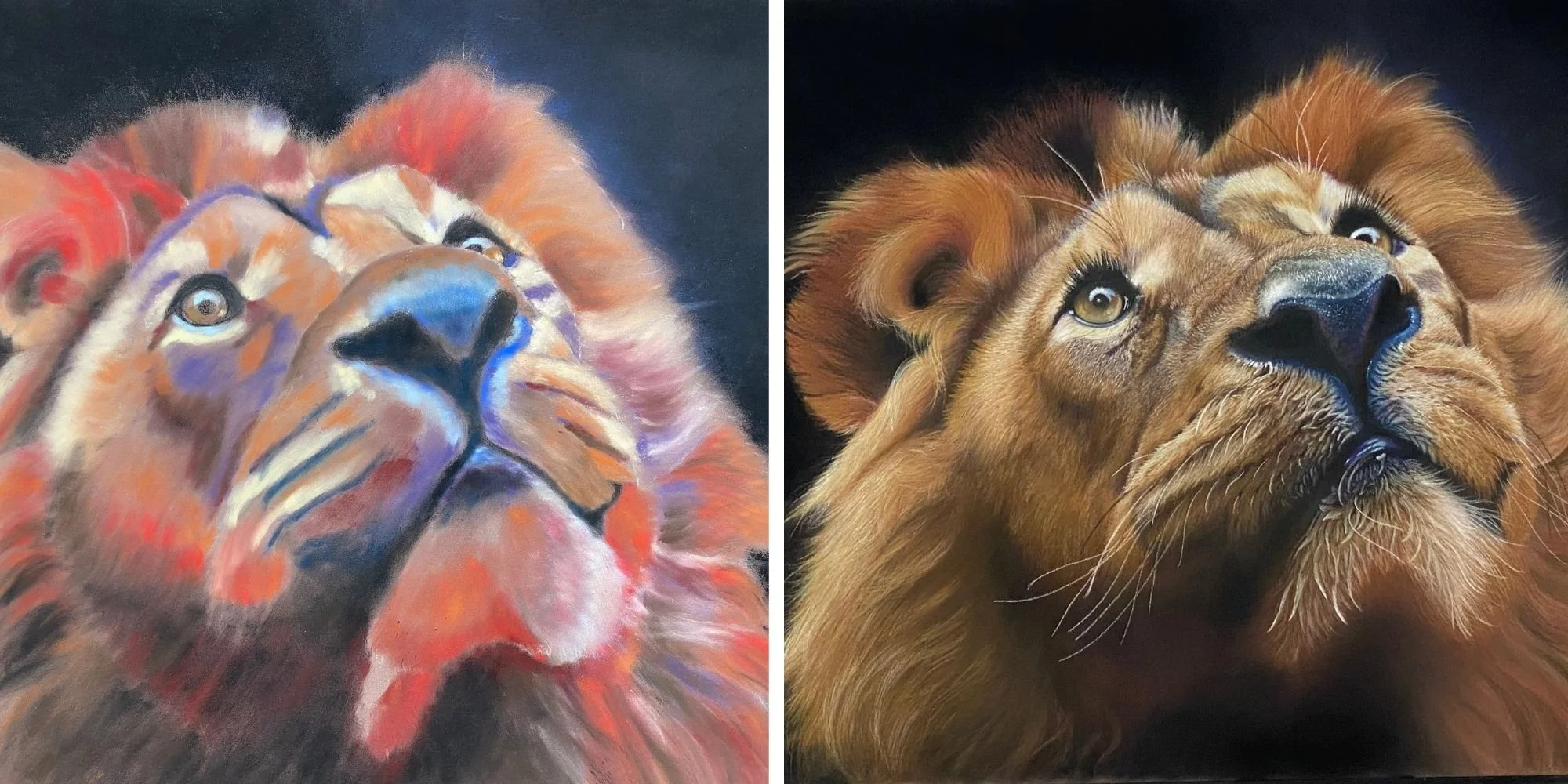 Les différentes étapes de la réalisation d’un portrait animalier au pastel sec. Utilisation des bâtonnets pour les couches de fond, puis ajout des détails minutieux au crayon.