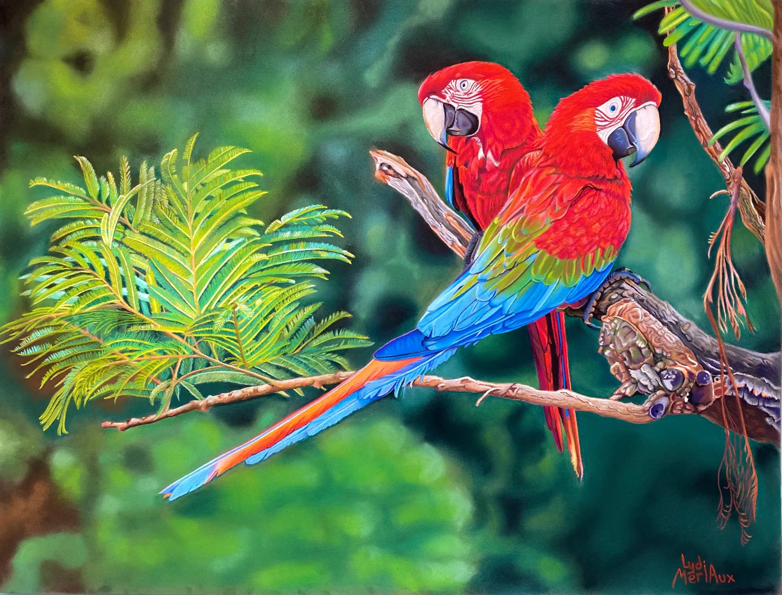 Tableau original représentant un couple d'aras multicolores perchés sur une branche, peint au pastel par l'artiste peintre Lydia Mériaux — portrait animalier