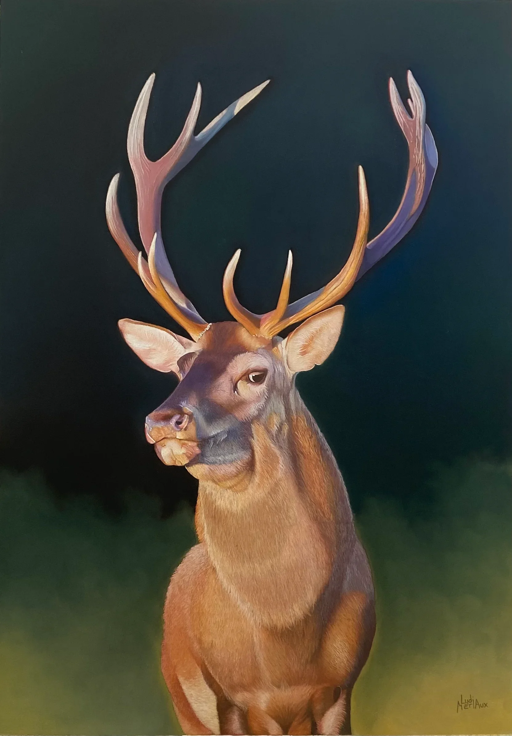Portrait animalier d'un cerf réalisé au pastel sec, art animalier réaliste peint à la main par Lydia Mériaux, artiste peintre en Picardie