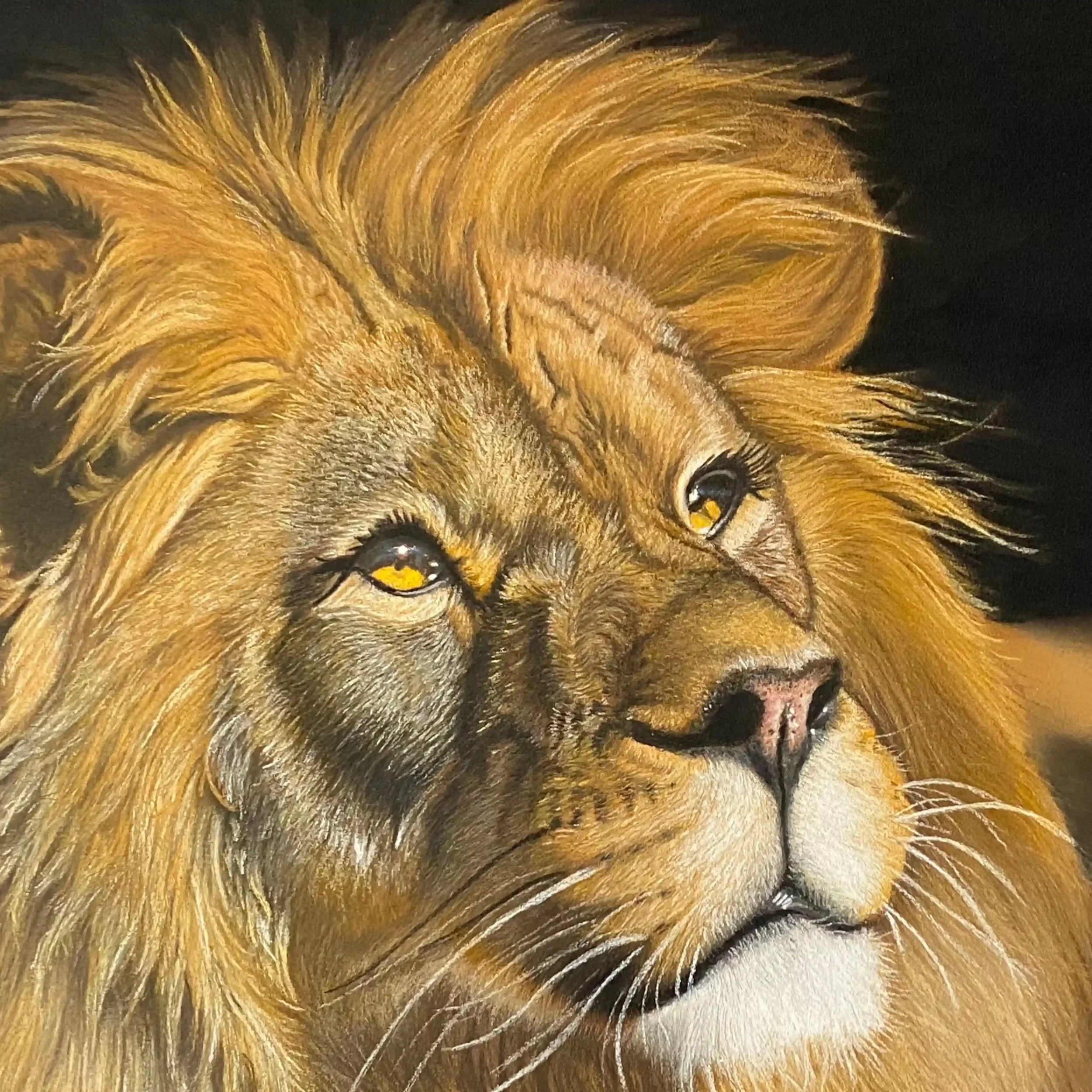 détail du regard du "king", portrait animalier au pastel , par Lydia Mériaux, artiste peintre.