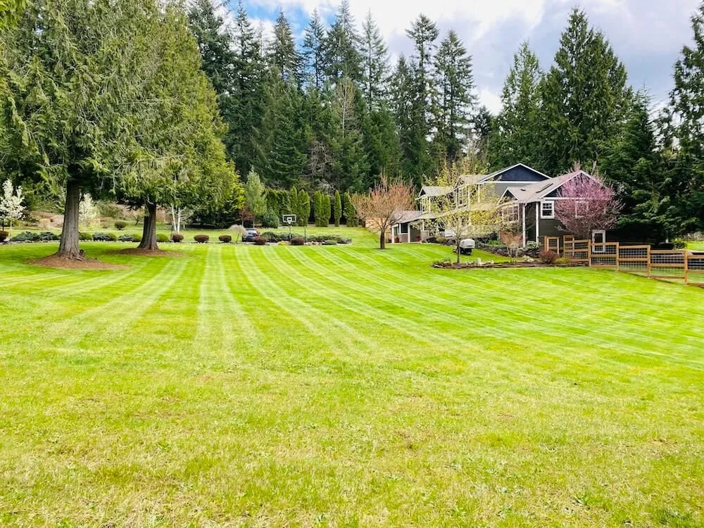 A large, well-maintained grassy backyard with a house, trees, and a parking lot in the background.