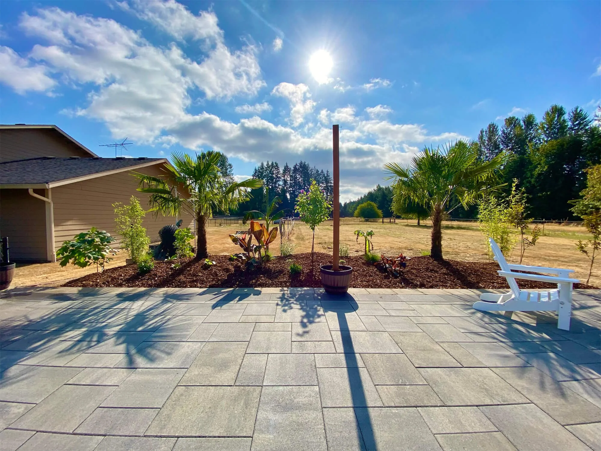 A backyard patio with a potted palm tree, a white lounge chair, and a landscaped garden area with a house on the left, under a bright sunny sky with scattered clouds.