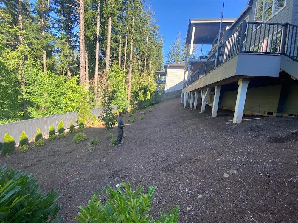 A man stands in a freshly landscaped backyard on a slope, with young plants and shrubs, next to a house with a deck and railing, surrounded by tall trees.