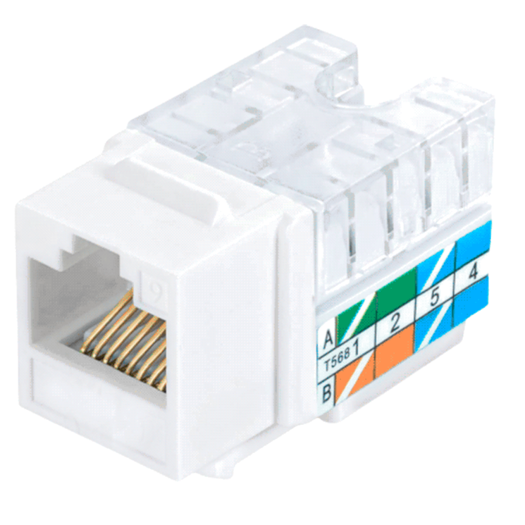 Jack Keystone RJ45 Saxxon color blanco