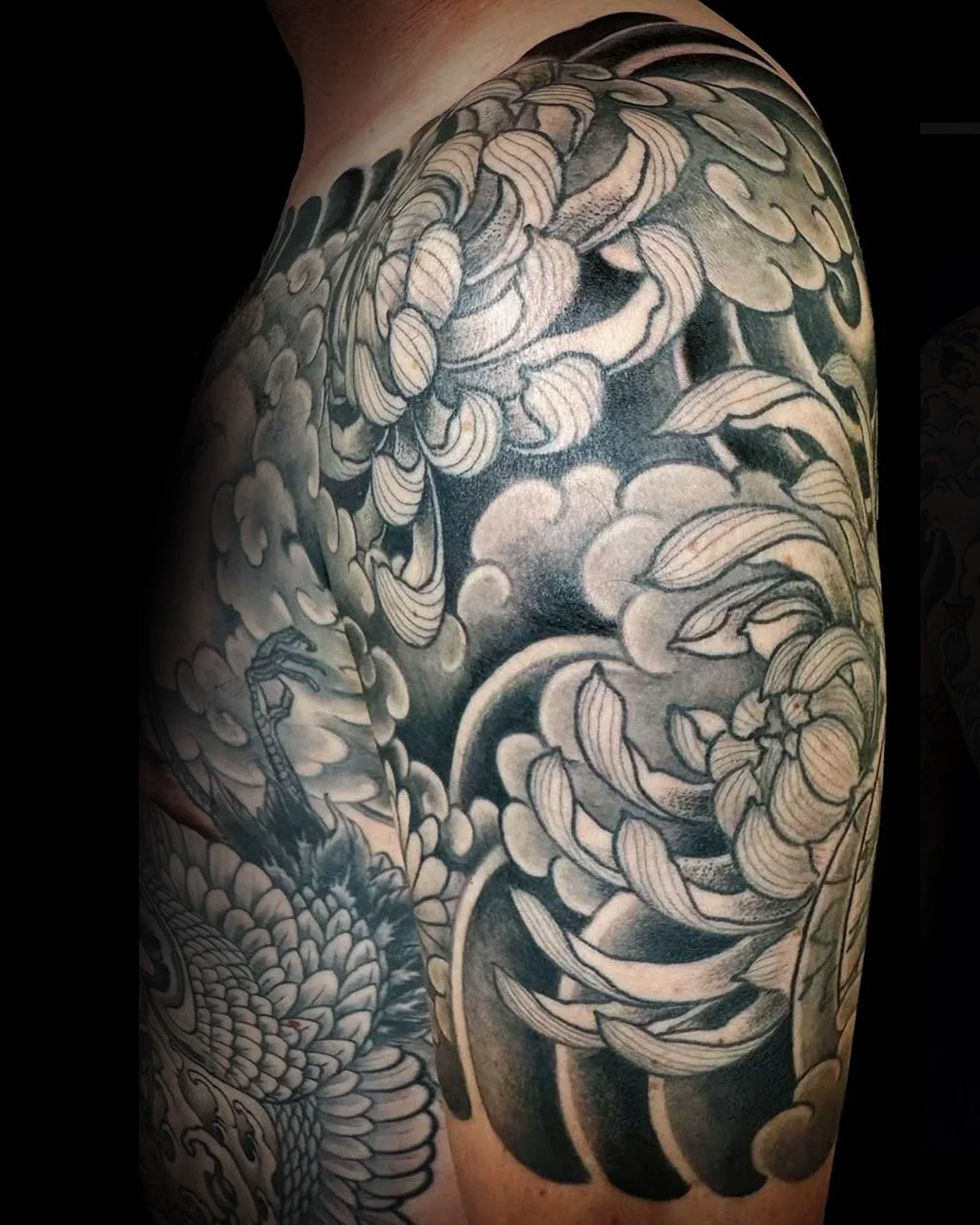 Kiku , Chrysantheme, Chrysanthemum , Black and Grey Sleeve , Halfsleeve , Horimono , Japan