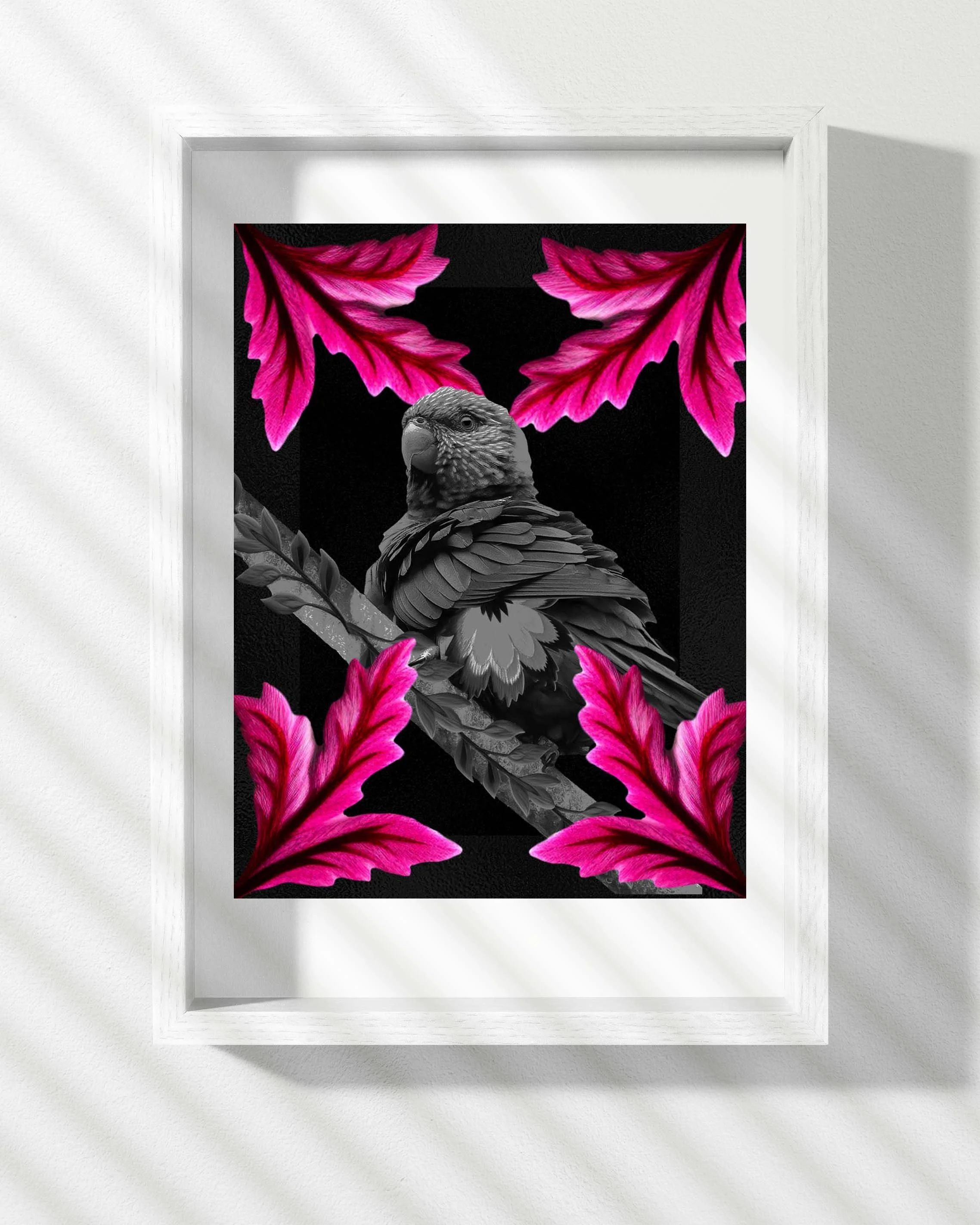 black-parrot-pink-flower-white-frame.jpg